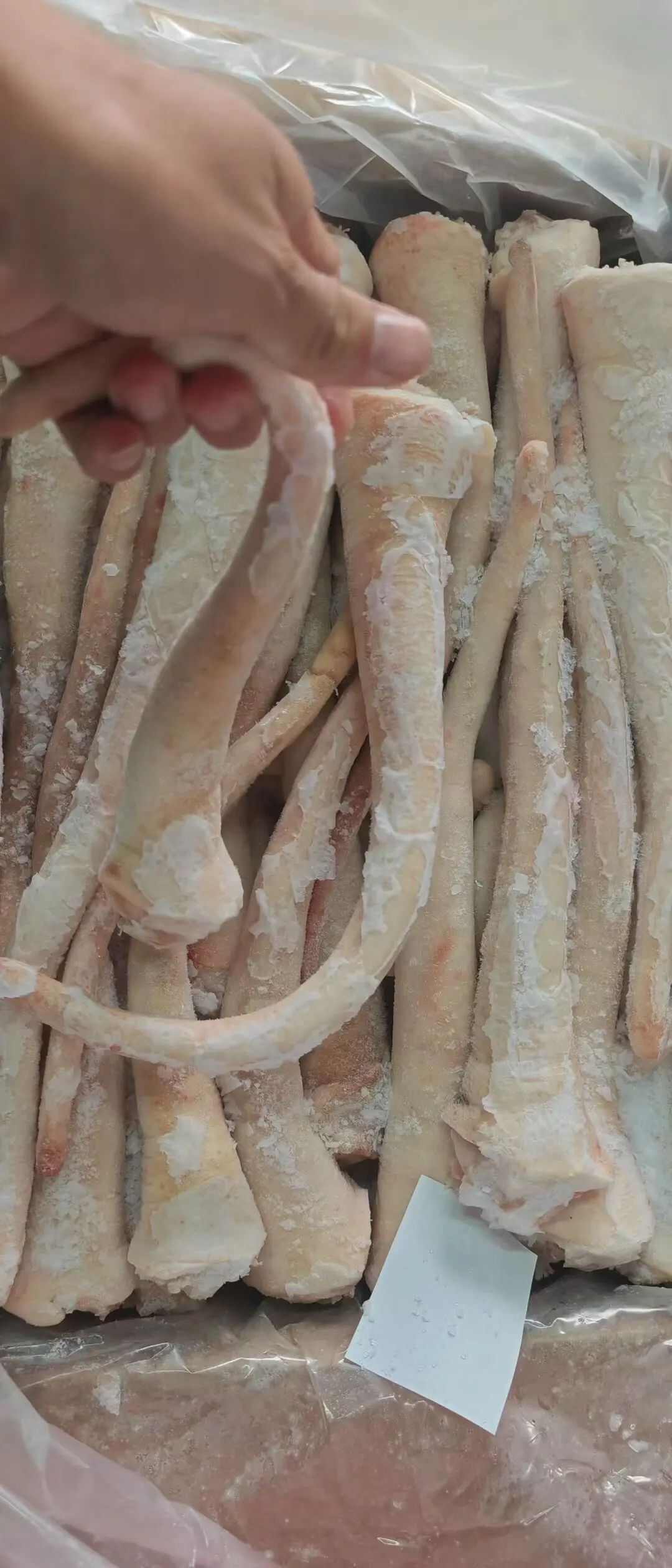 猪副产品 下酒好菜 胶原蛋白满满 软糯Q弹 中长短猪尾巴