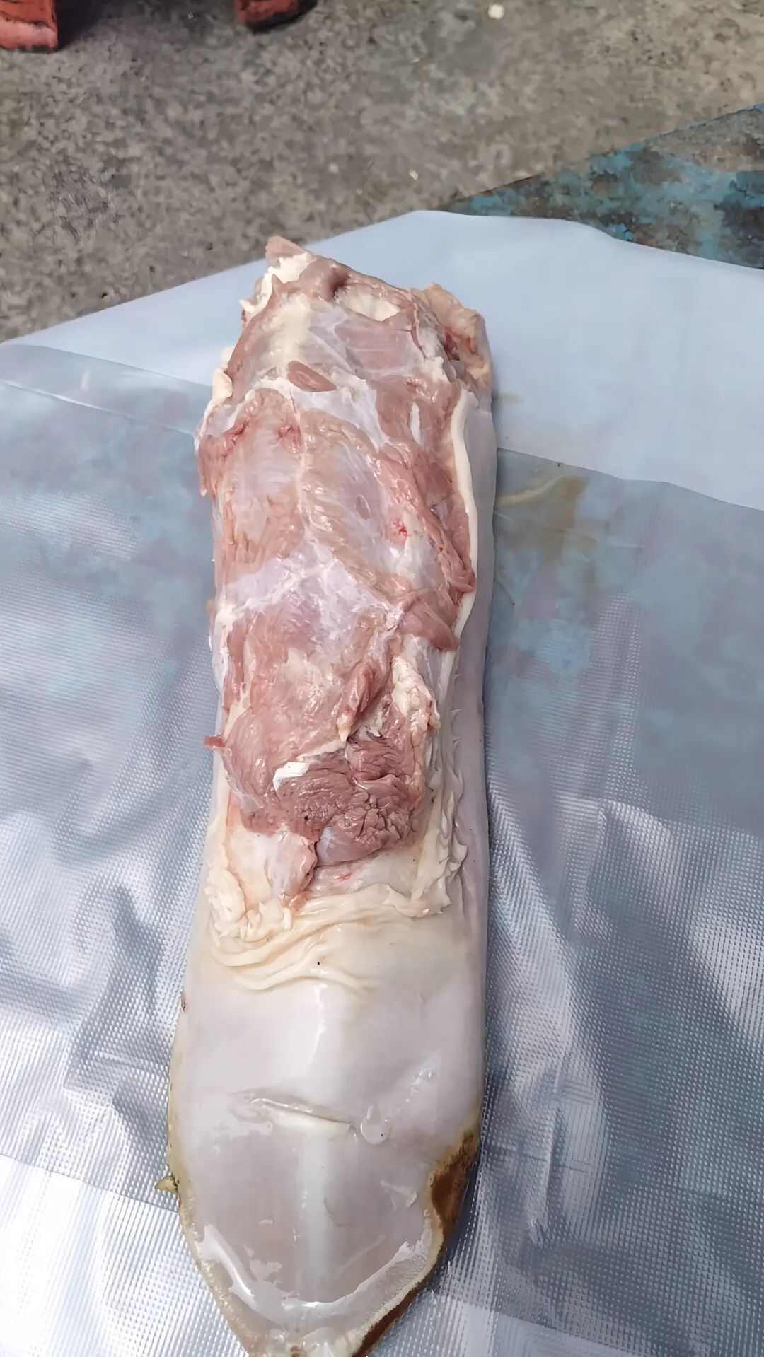 牛副产品 软嫩多汁 厚切精品 整条精修 去皮美味