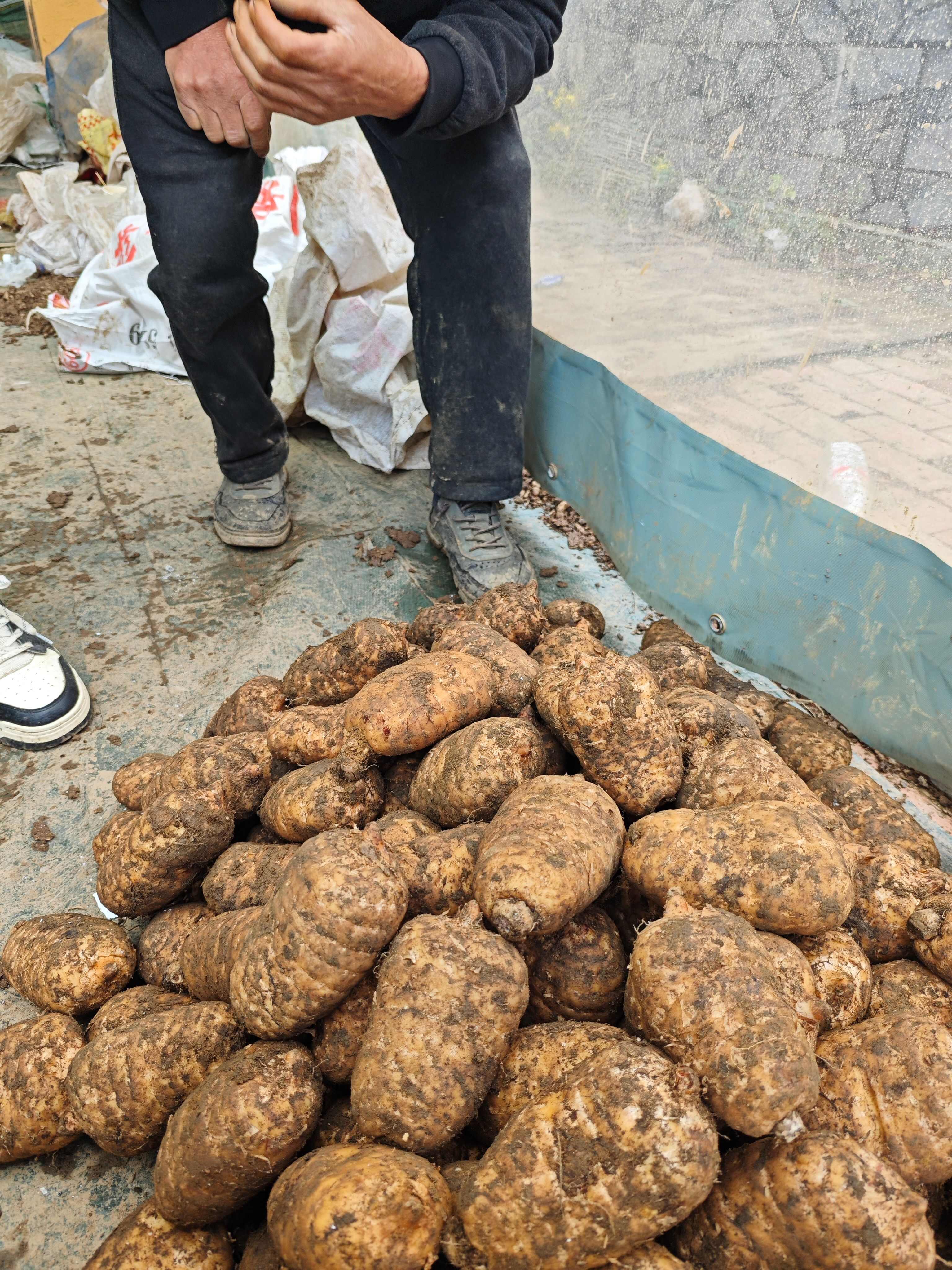 好品质