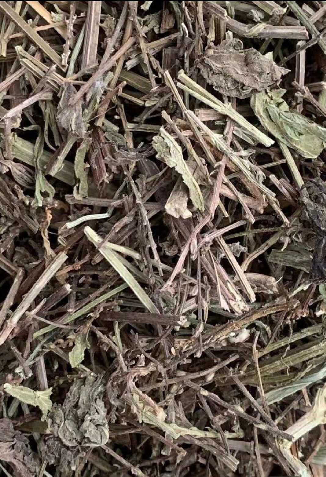 马鞭草货品均实物拍摄一手货源产地直发