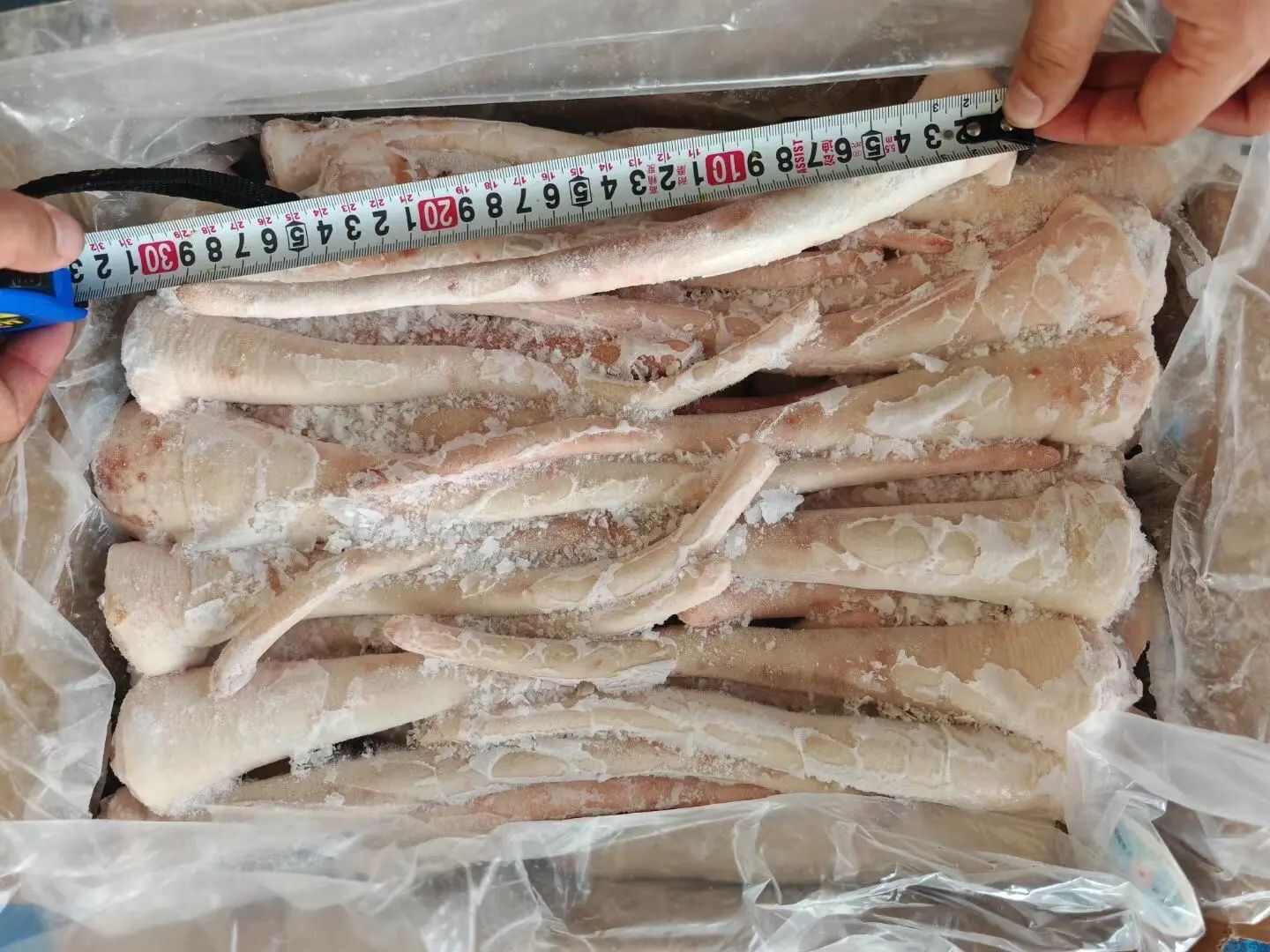 猪副产品 下酒好菜 胶原蛋白满满 软糯Q弹 中长短猪尾巴