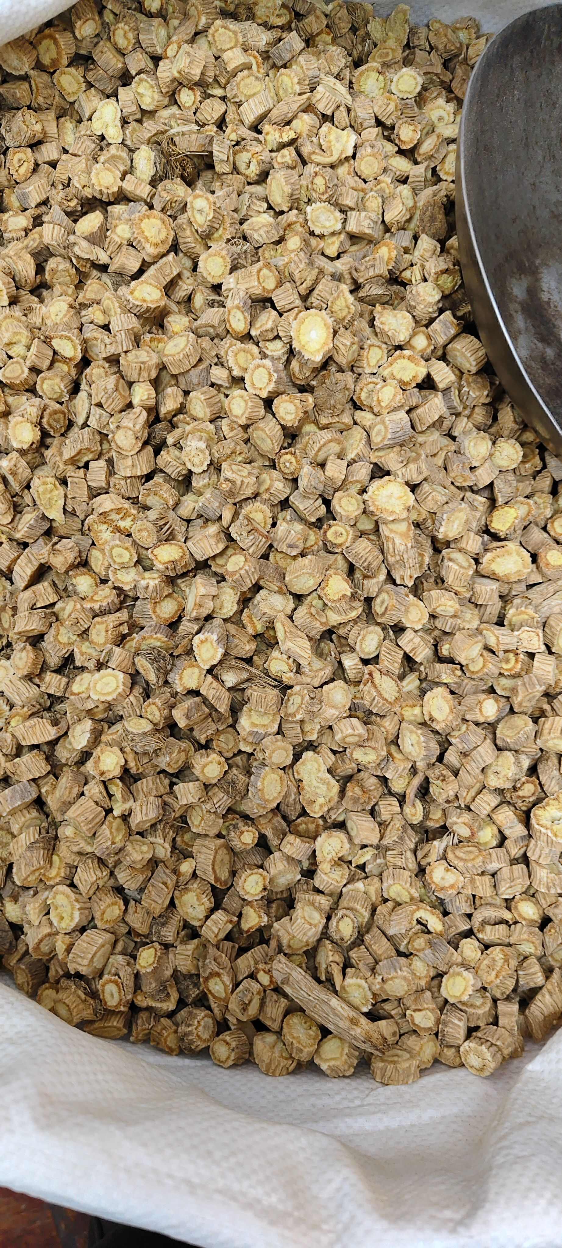 防风，中药材防风