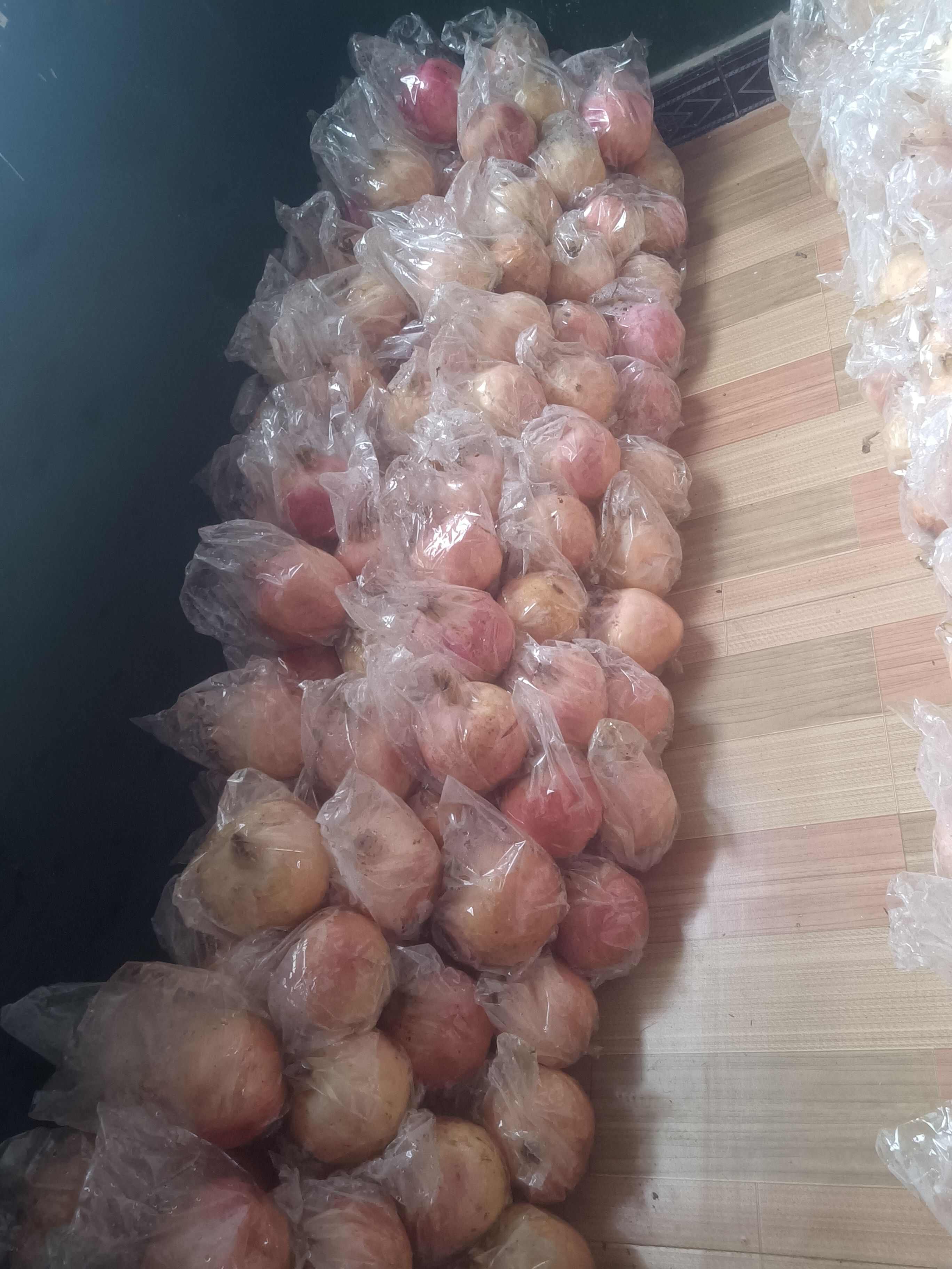自己种的临潼甜石榴