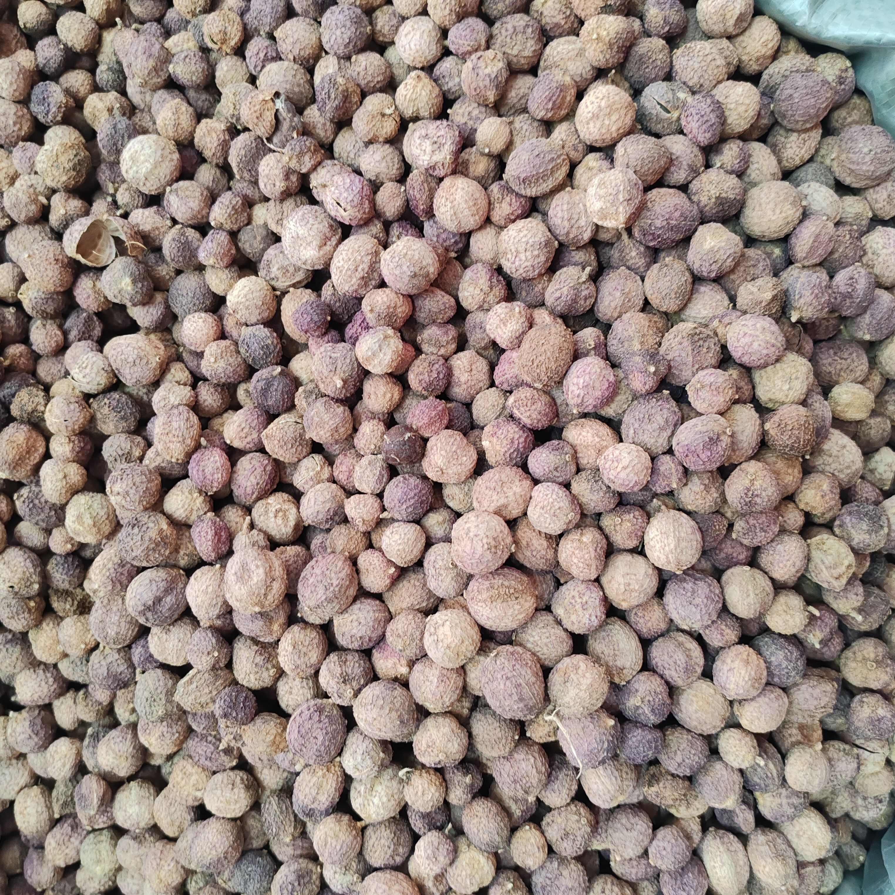 砂仁干货春砂仁云南砂仁500克砂仁