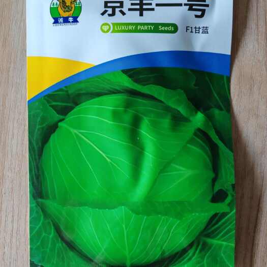 京丰一号甘蓝种子包心菜中晚熟一代杂交种子包菜扁圆形
