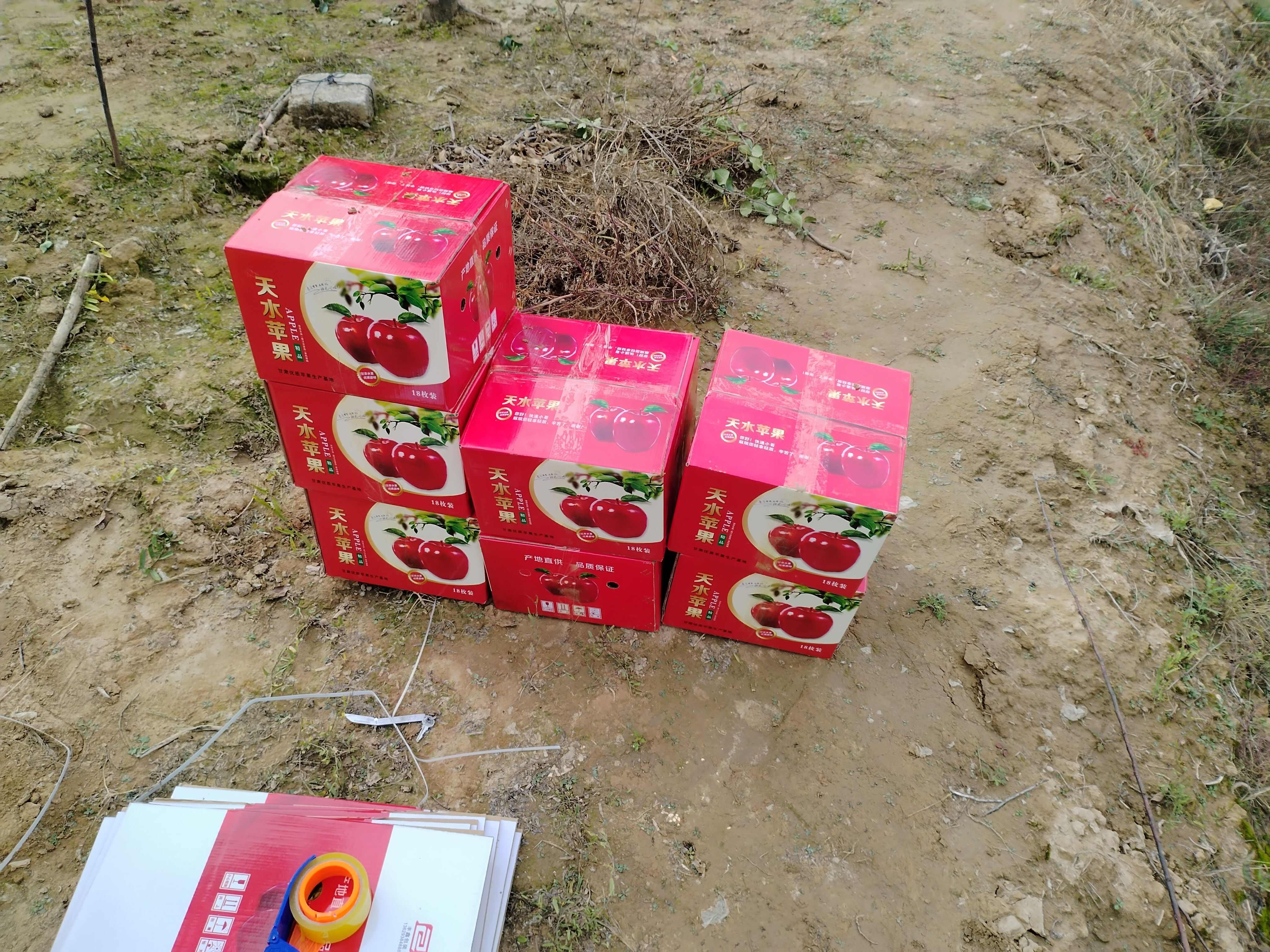 天水高海拔花牛