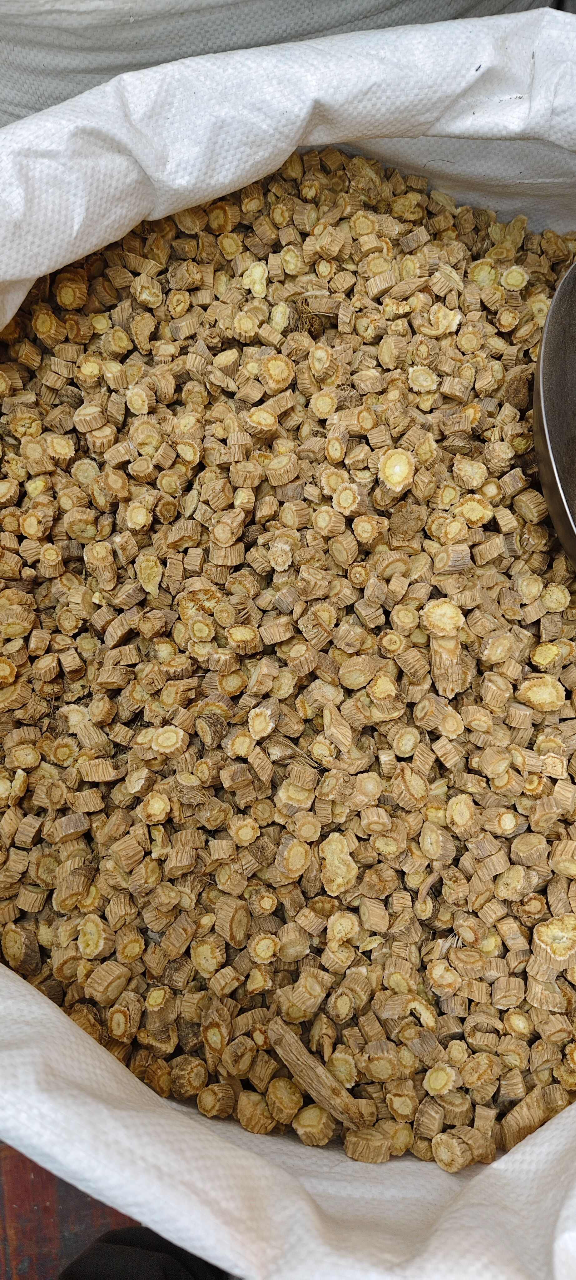 防风，中药材防风