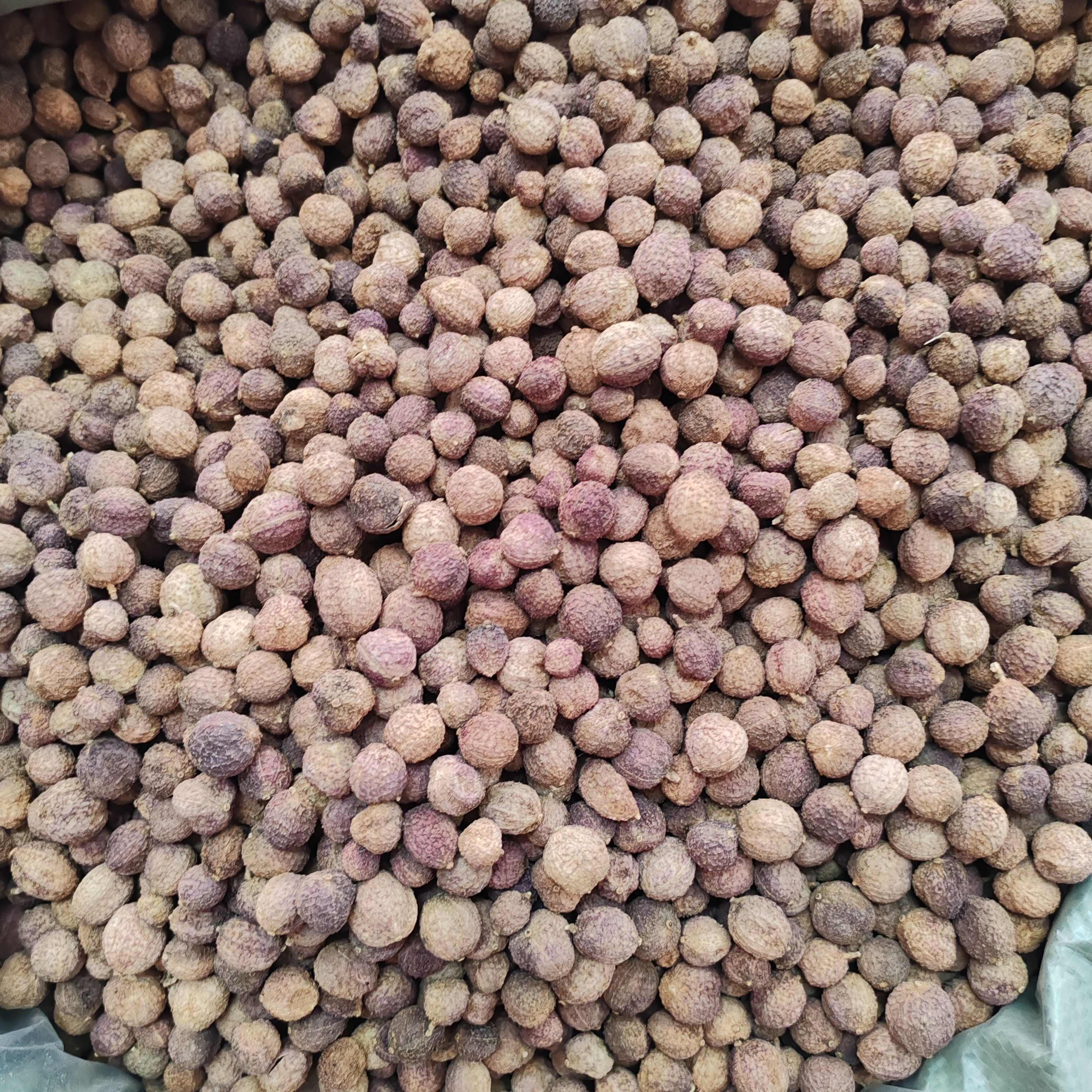 砂仁干货春砂仁云南砂仁500克砂仁