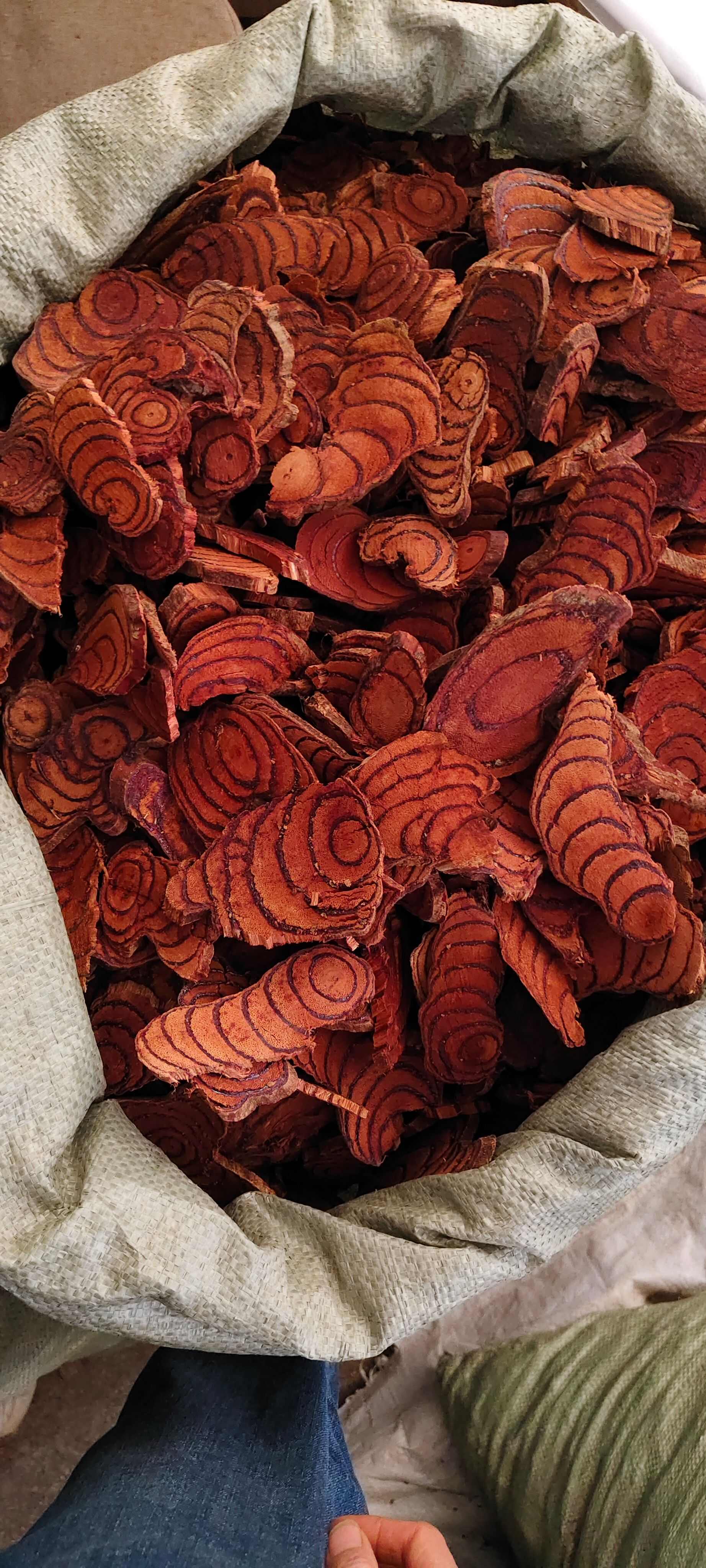 鸡血藤，中药材鸡血藤，源头厂家直销