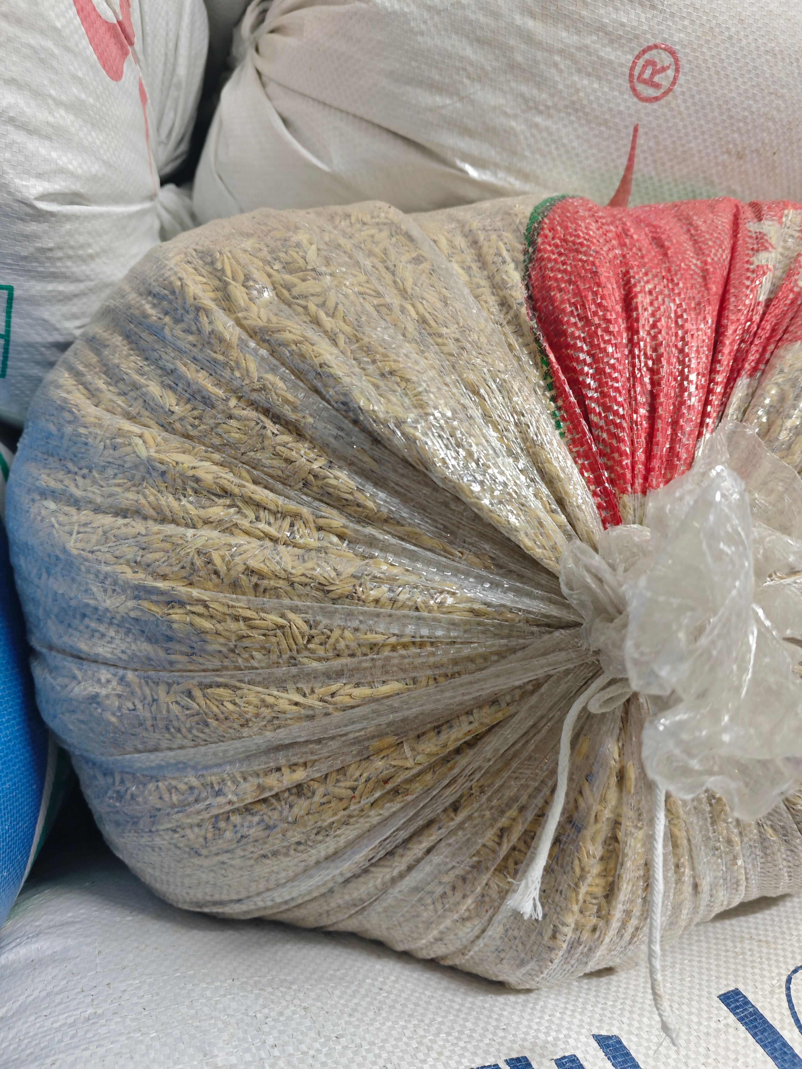 湖北省汉川市珍珠糯稻谷