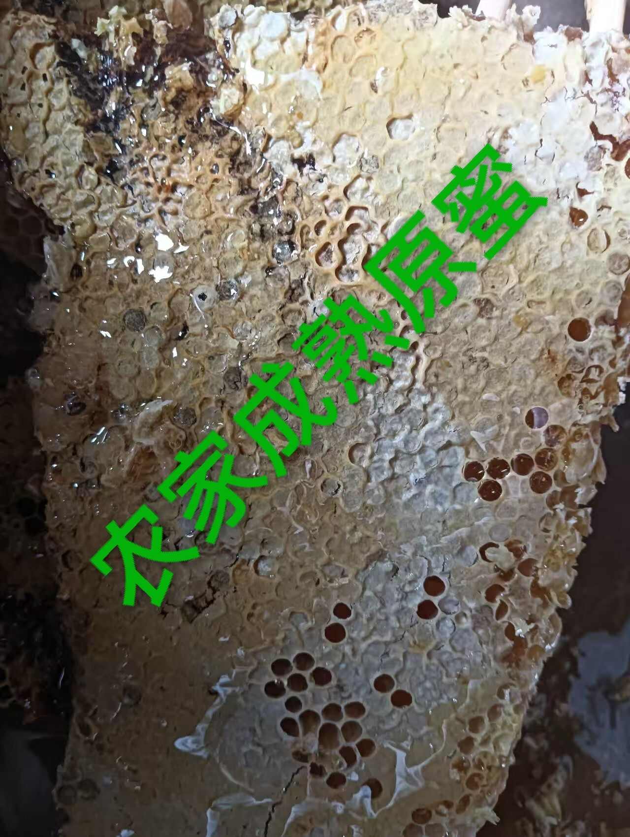 深山农家天然酿造土蜂蜜   蜜源正   品质好