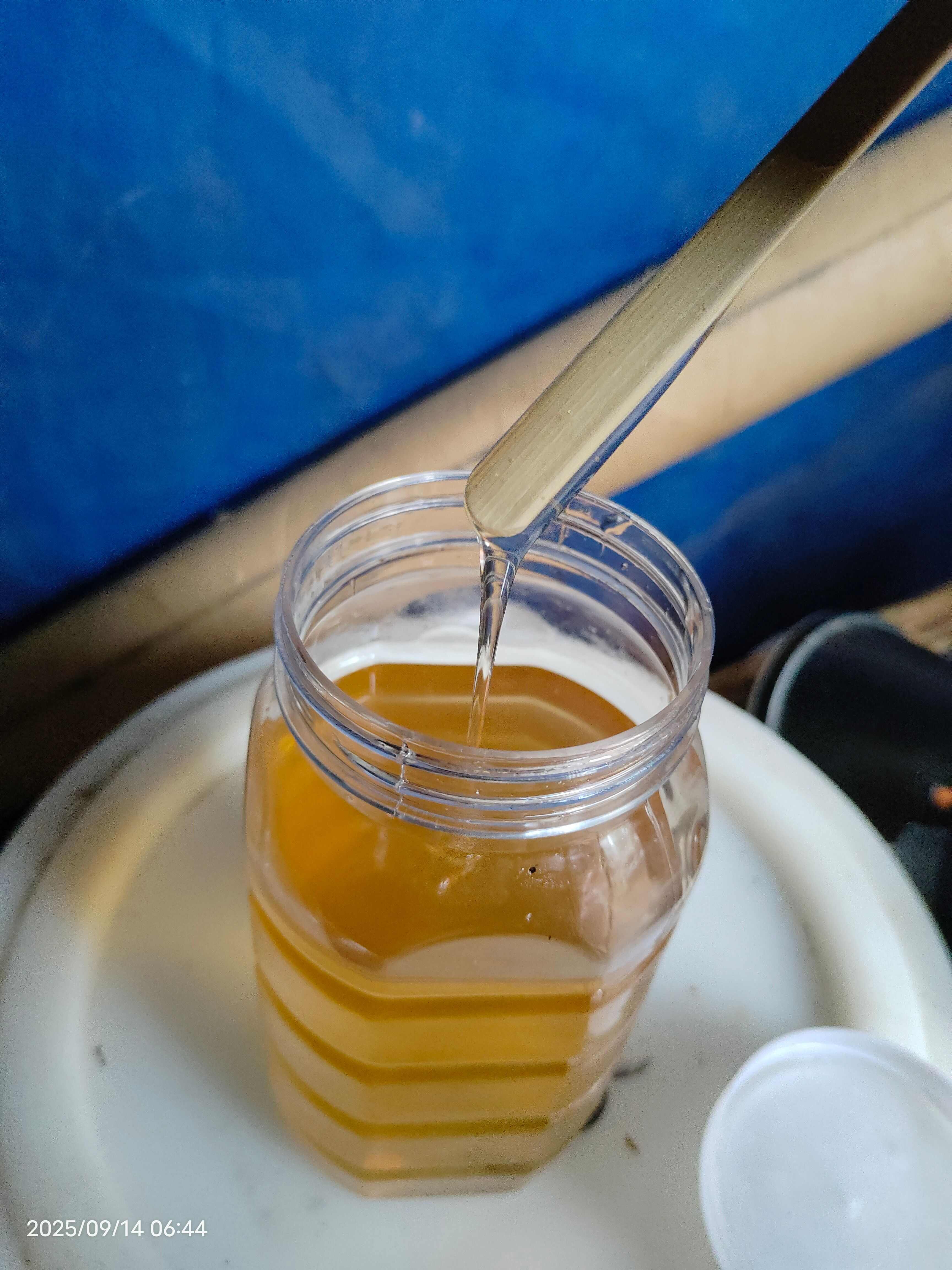 槐花蜜 枣花蜜 油菜花蜜 荆花蜜