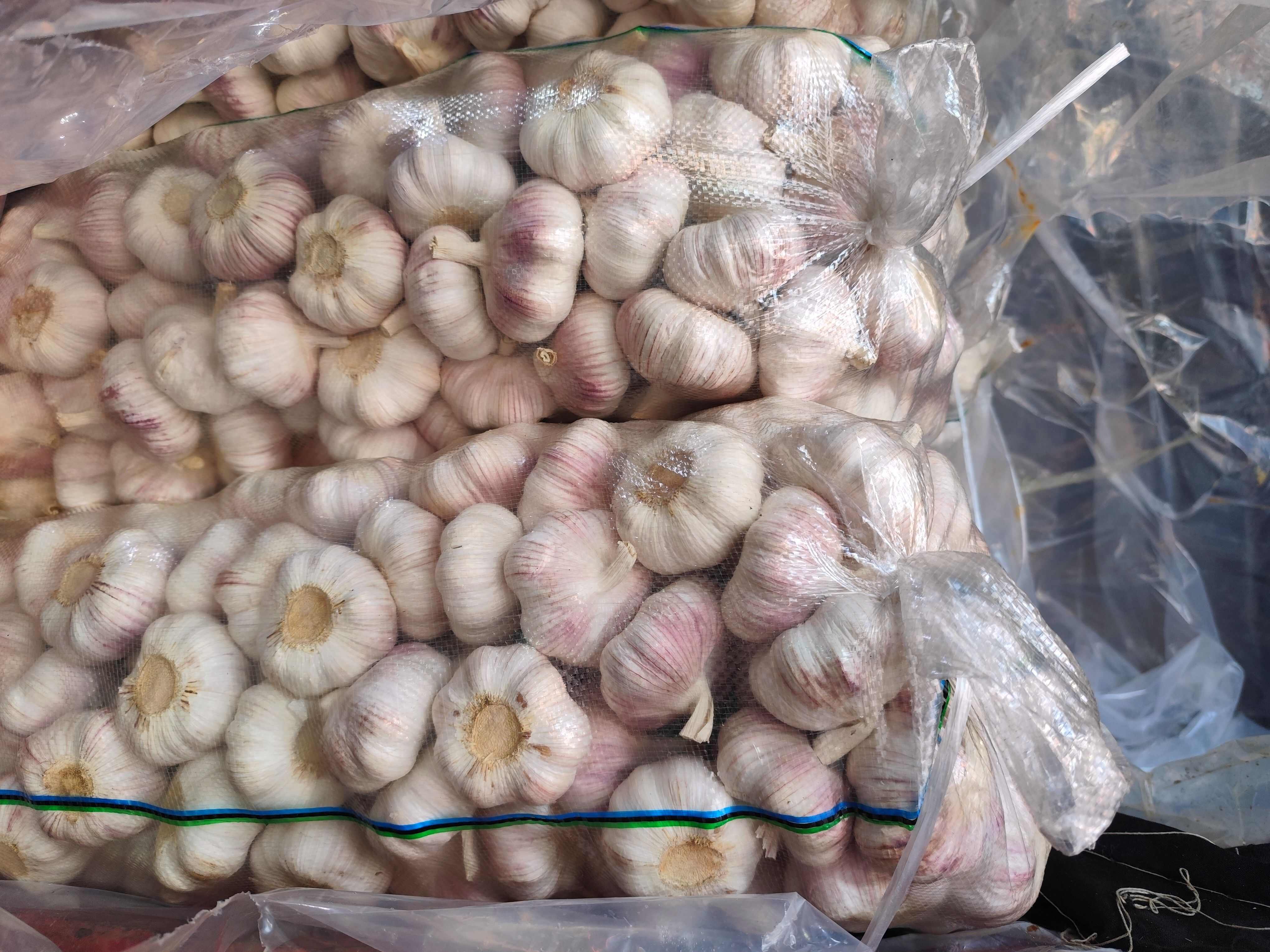 广东广州｜江苏邳州冷库蒜大蒜 农家自种 新鲜紫皮干蒜30kg