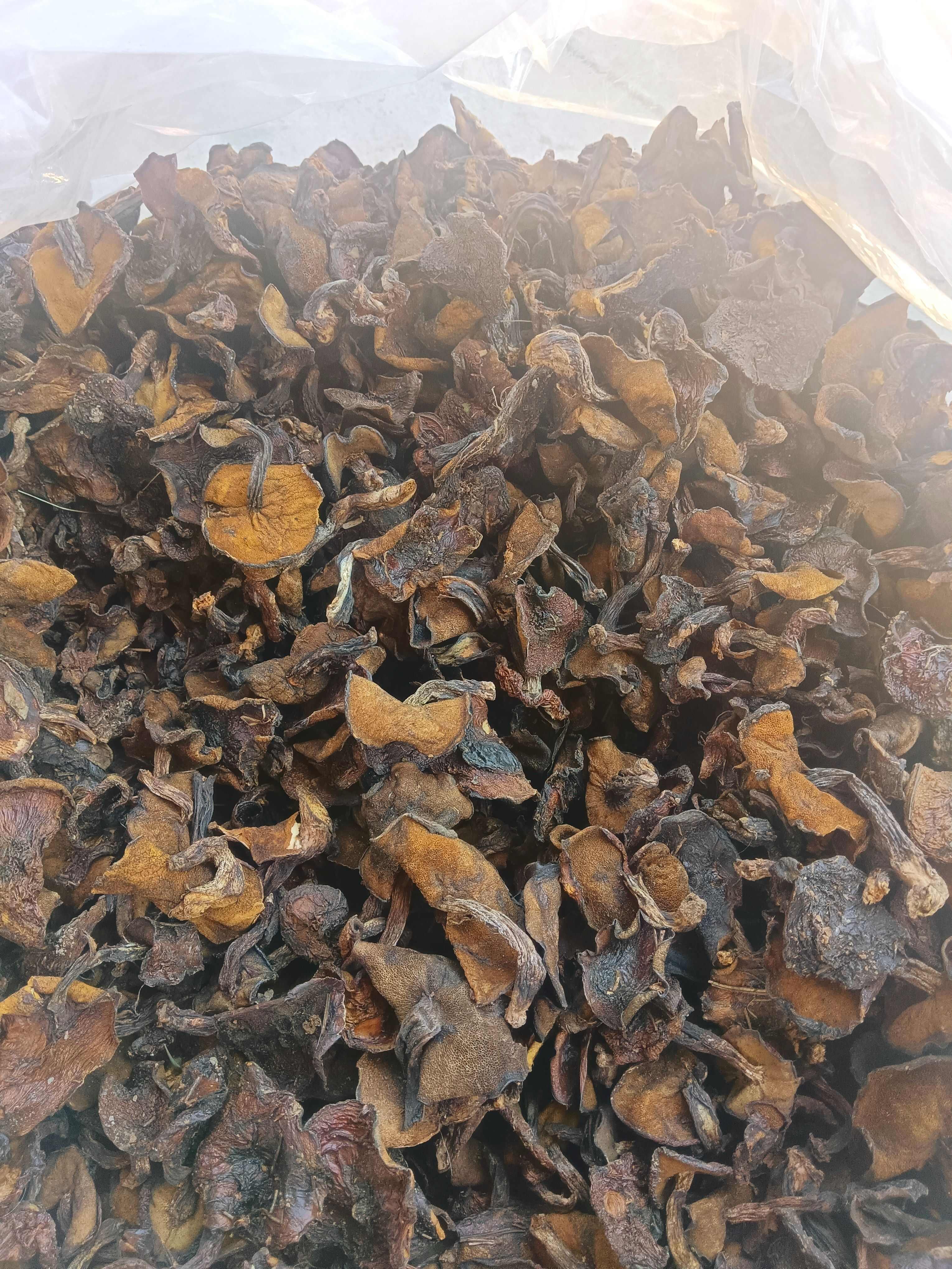 低端货松蘑（未去根未筛分）