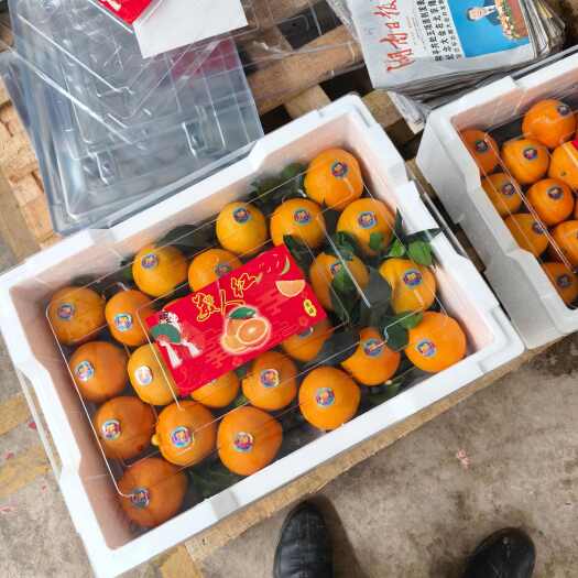 荣县四川自贡荣县留佳镇优质桔子基地，爱媛橙