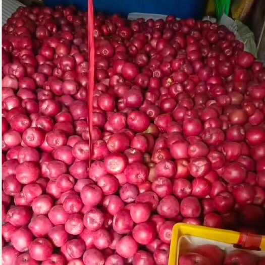 新鲜甘肃静宁水红秦冠苹果