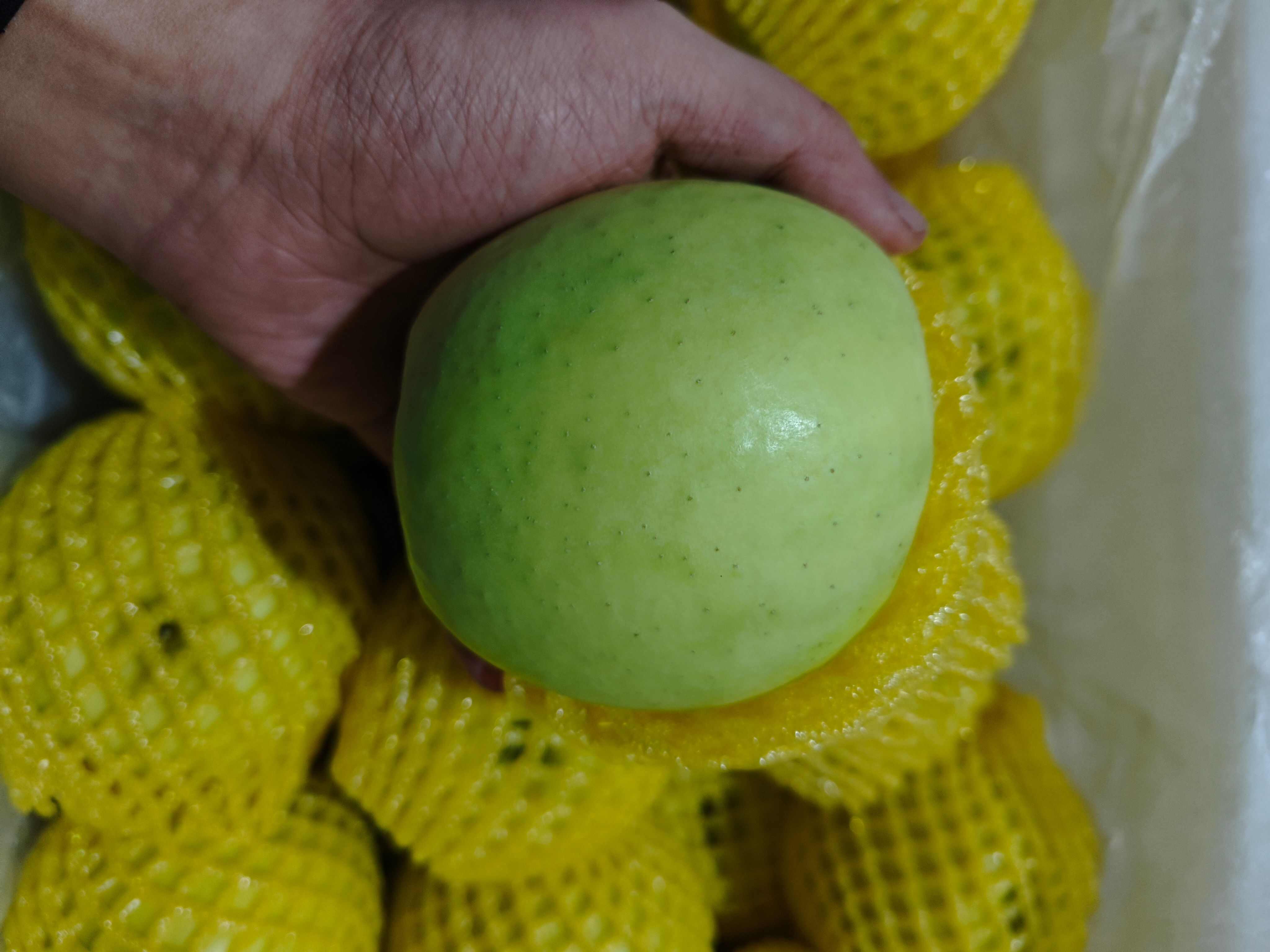 瑞雪苹果套袋货（陕西淳化）基地一手货 各种规格 新鲜采摘