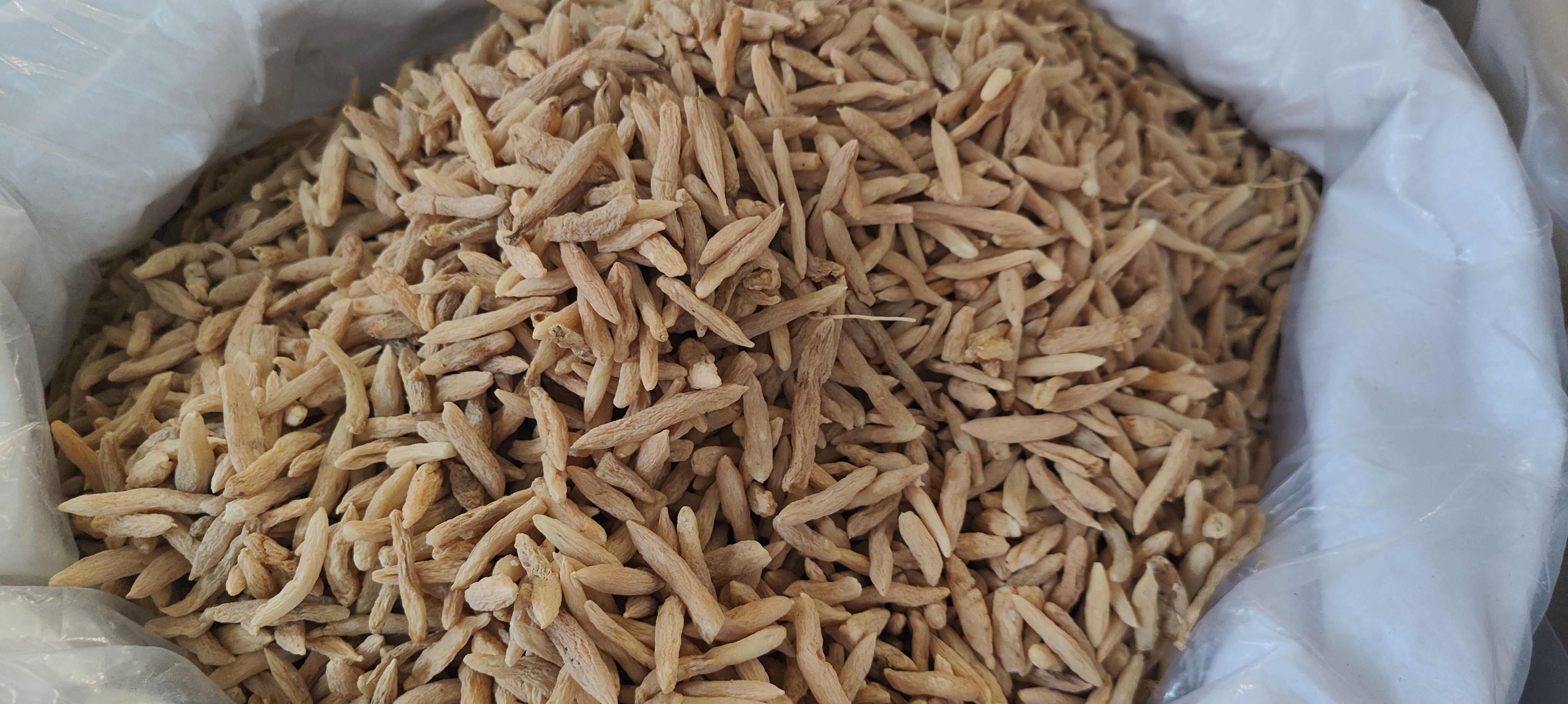 广西玉林麦冬 根茎类中药材 品质保证一斤起批