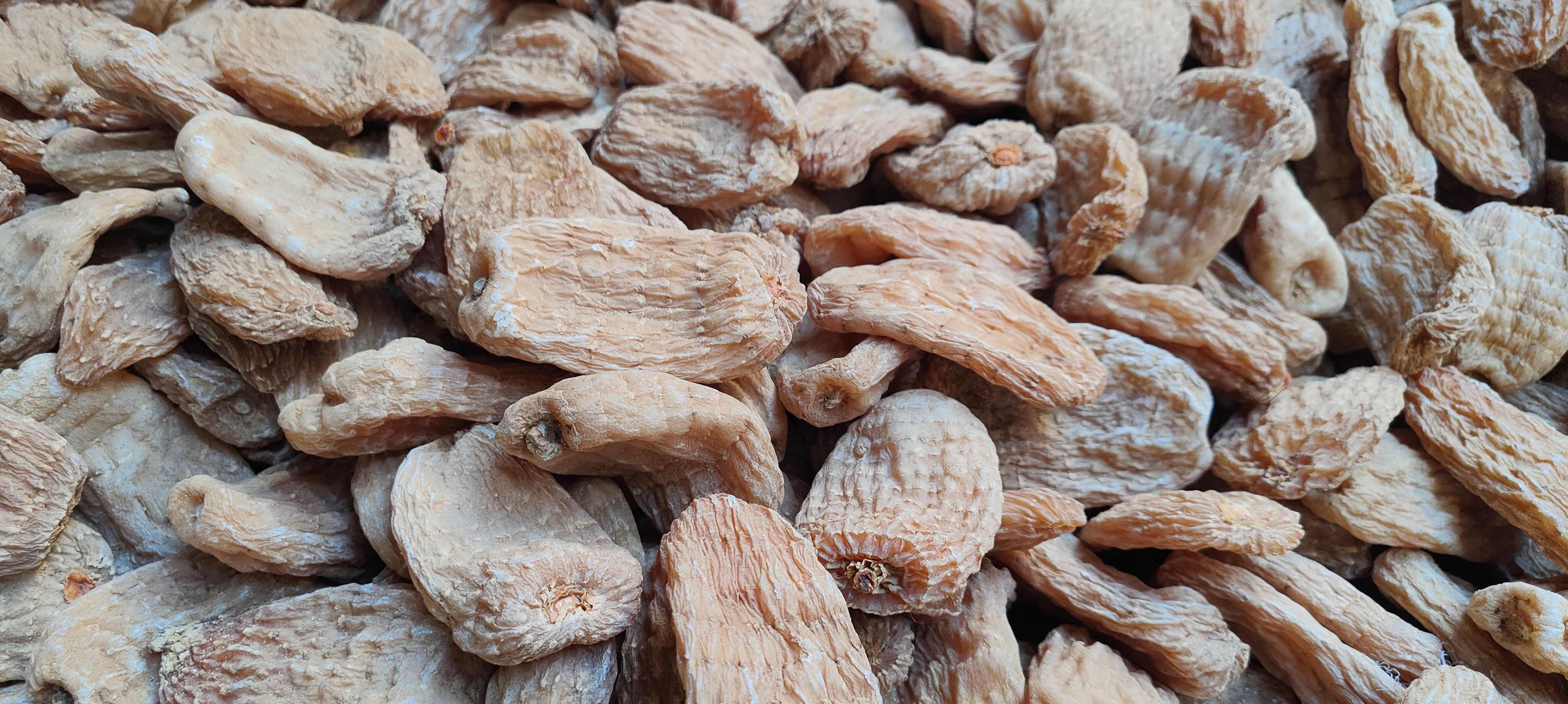 广西玉林天麻 滋补中药材货真价实