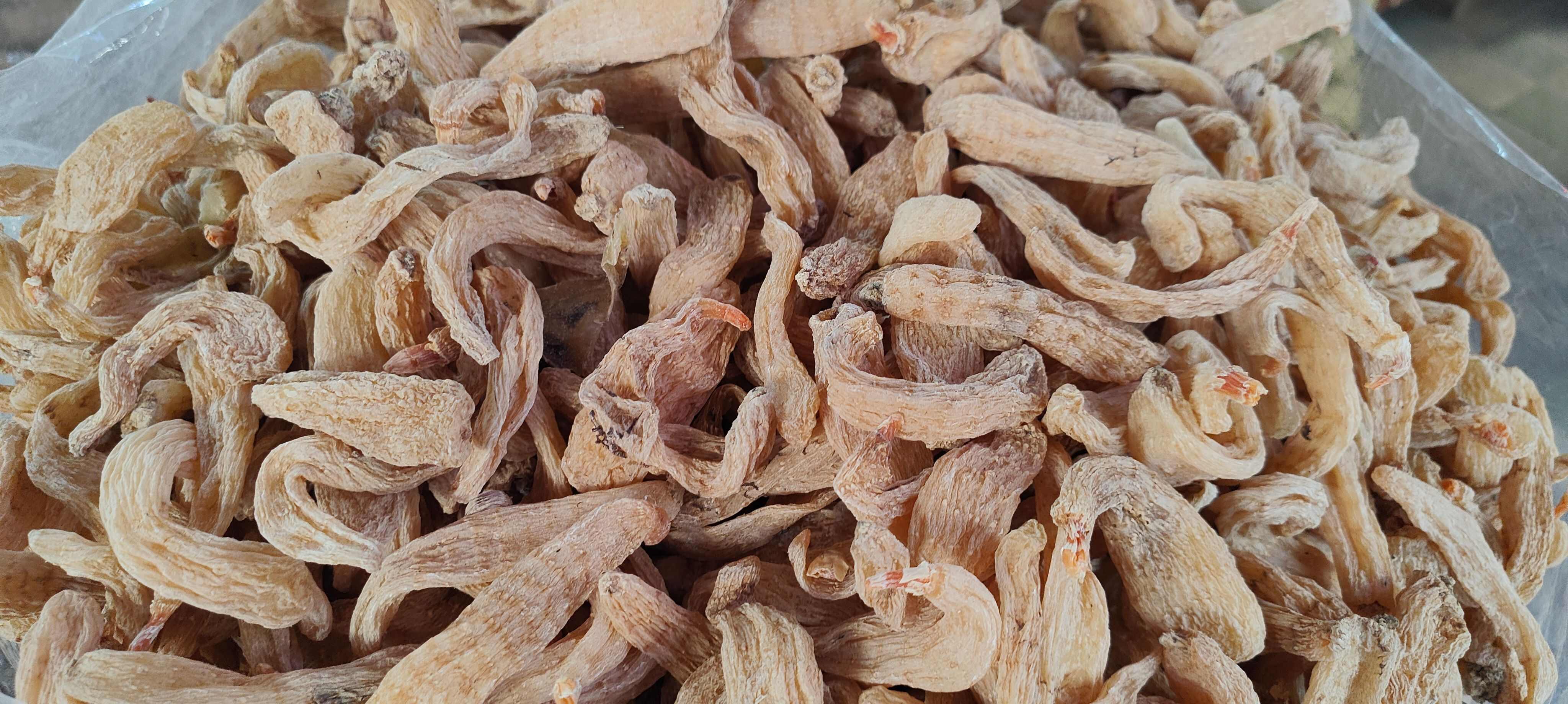 广西玉林产天麻 滋补药材 中药材原料