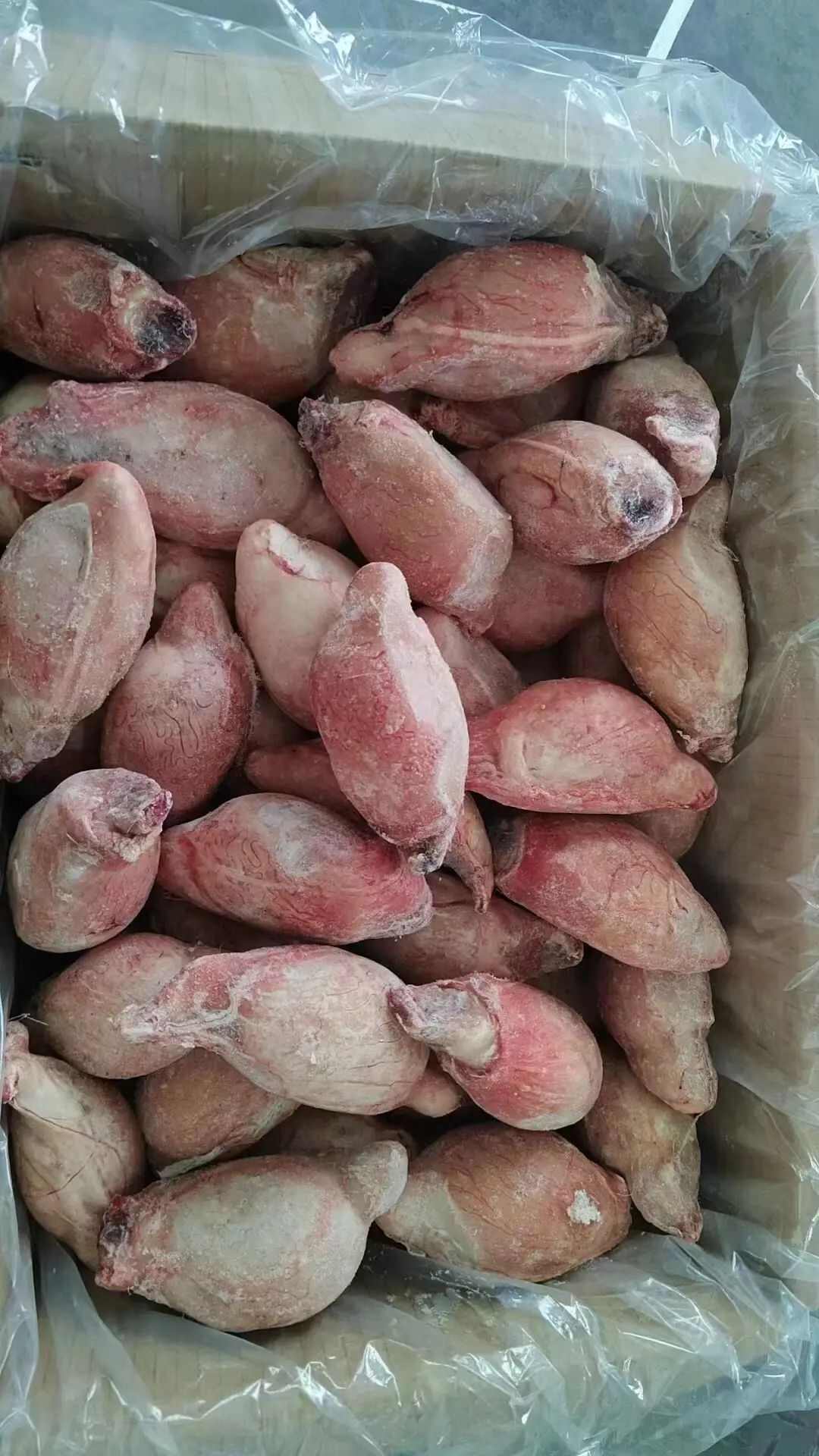 羊副产品  营养食材 无膻公羊宝 羊蛋