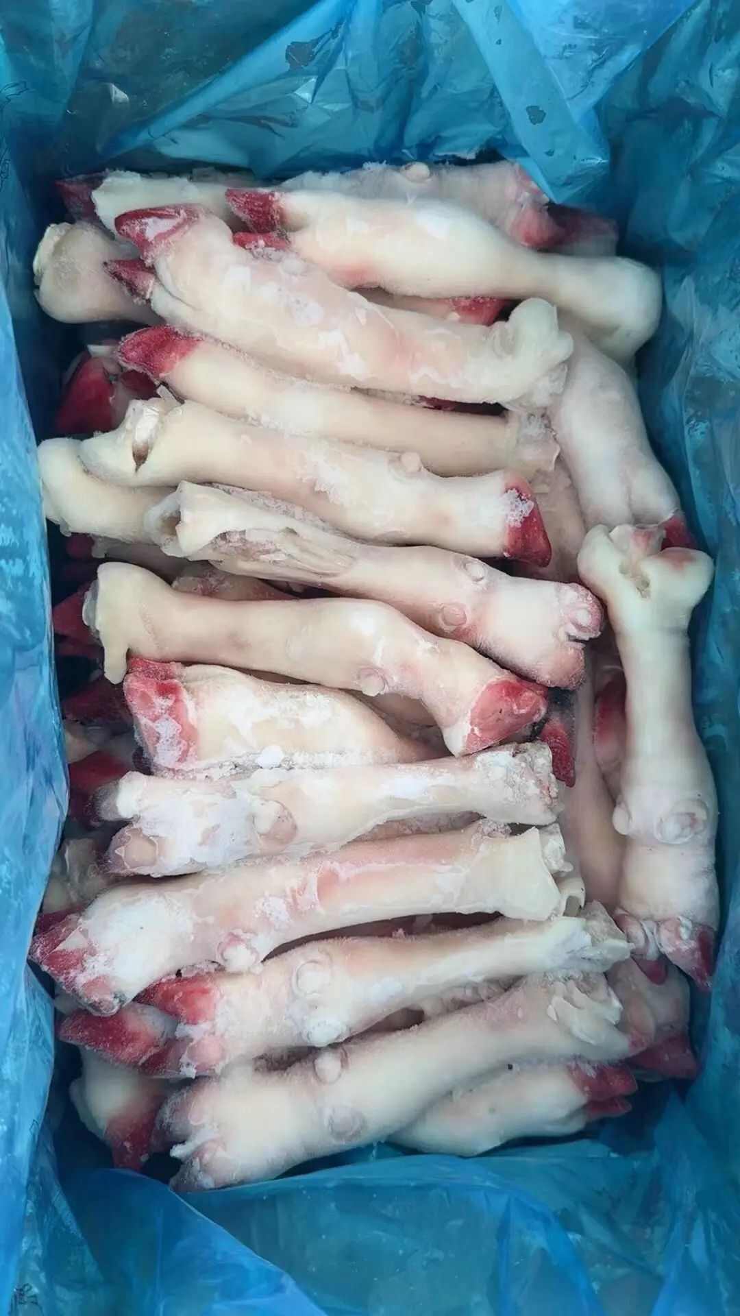 羊副产品 筋多胶足 去毛带筋 羊蹄