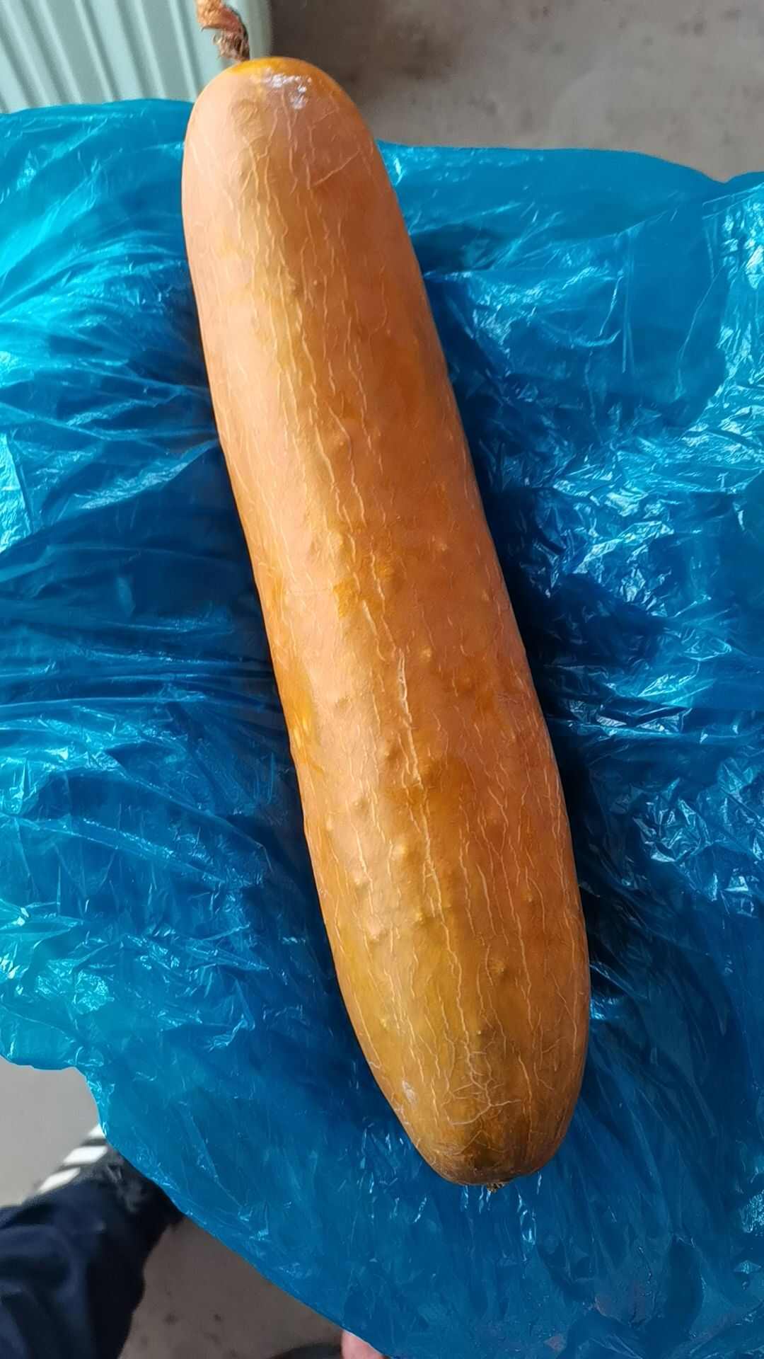 老黄瓜山东省聊城市莘县基地直供