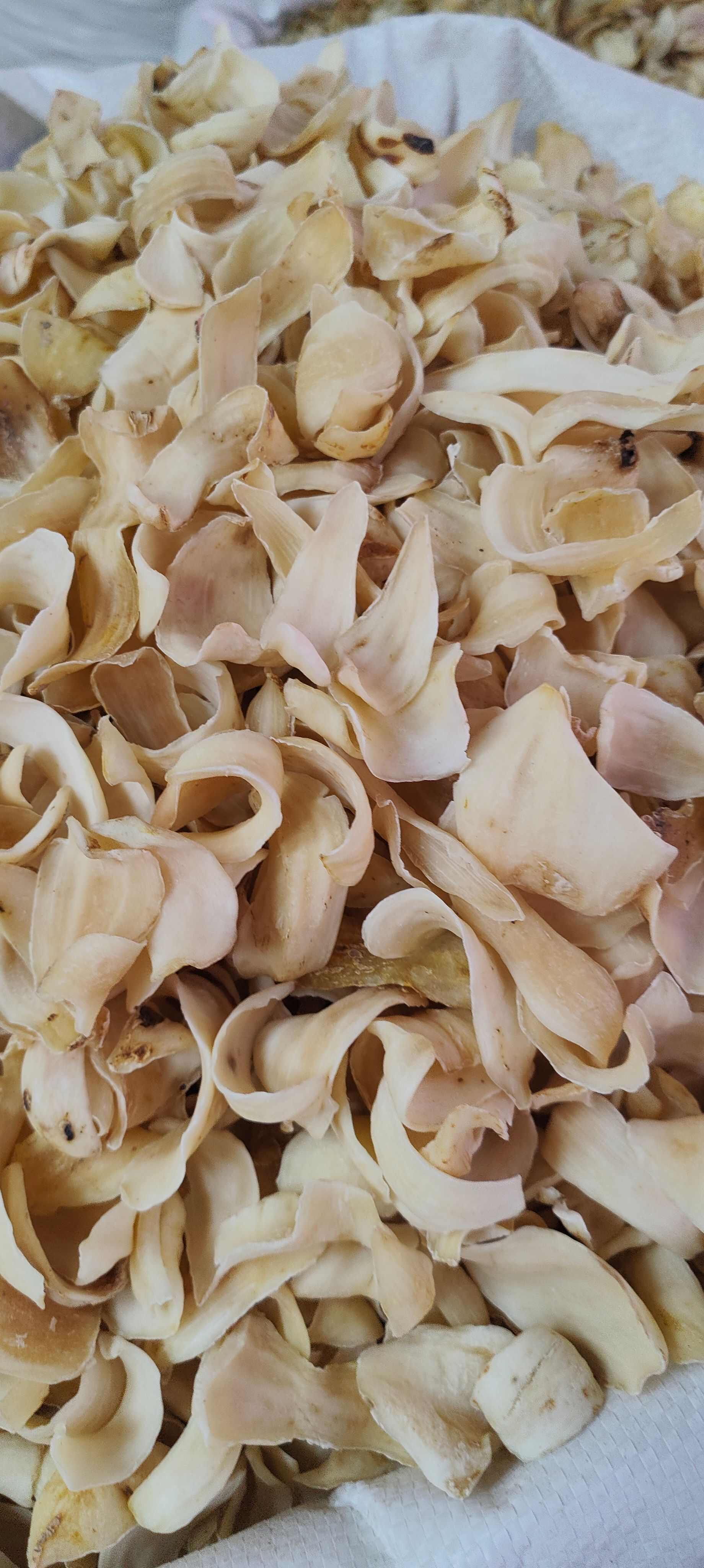 广西玉林百合干 农副蔬菜加工干货一斤起批