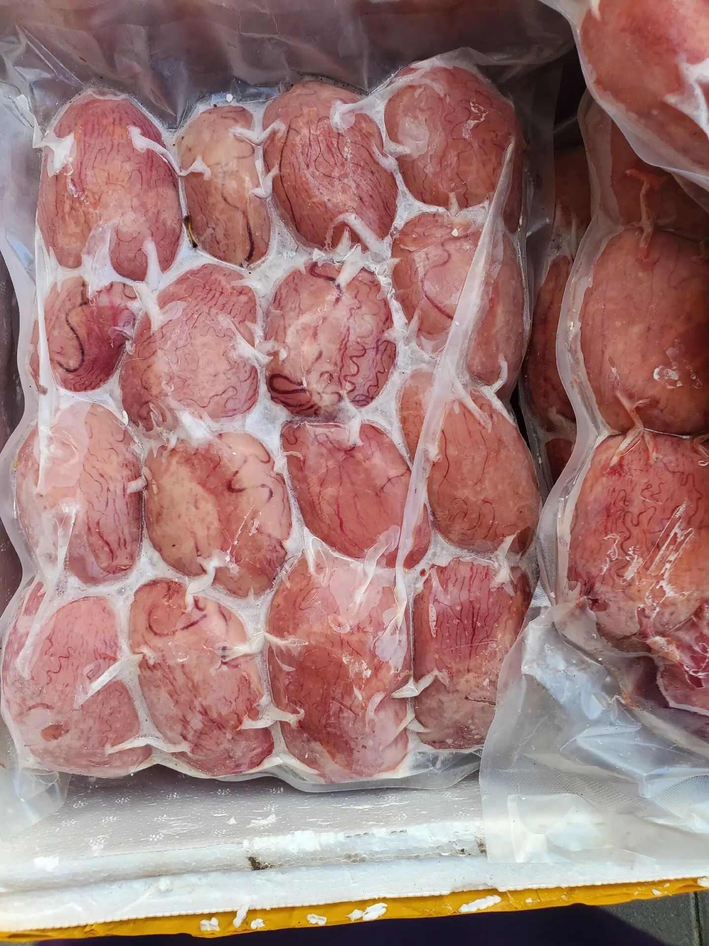 羊副产品  营养食材 无膻公羊宝 羊蛋