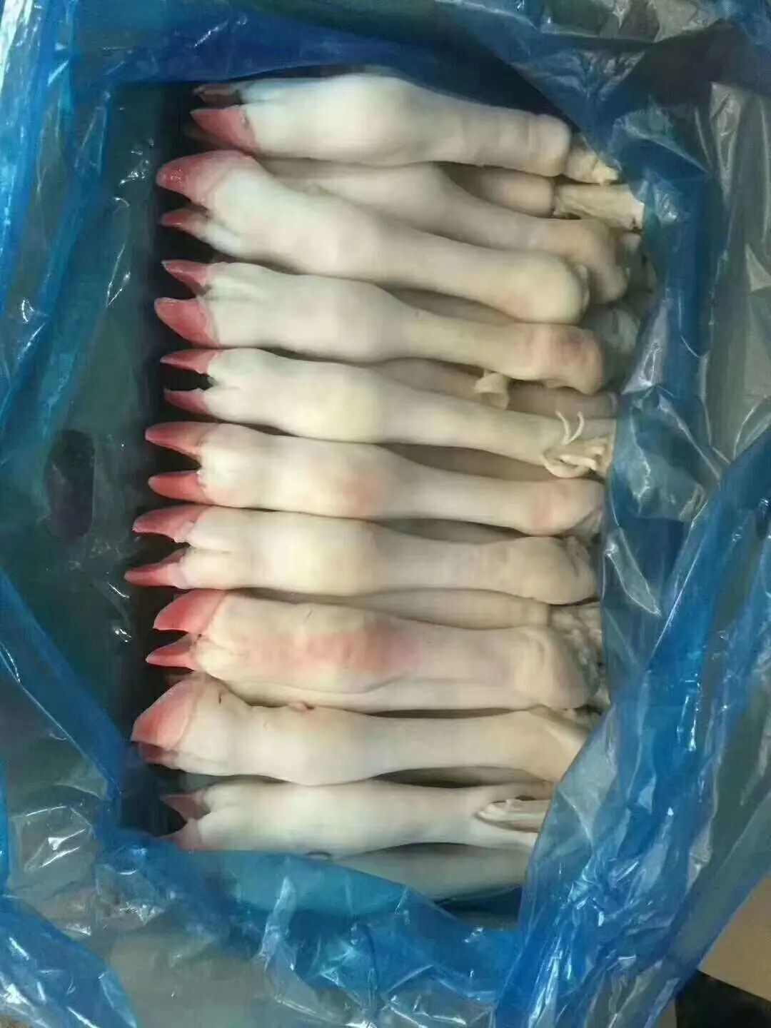 羊副产品 筋多胶足 去毛带筋 羊蹄