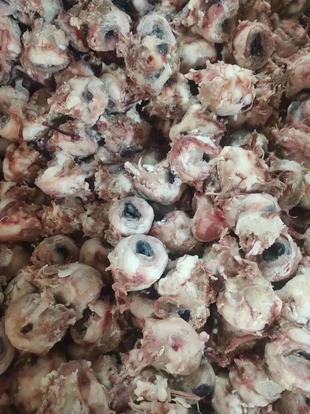 羊副产品 新奇食材 现杀鲜冻羊眼睛 夜明珠