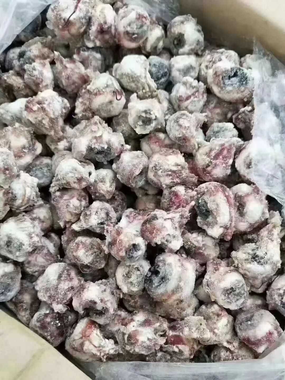 羊副产品 新奇食材 现杀鲜冻羊眼睛 夜明珠