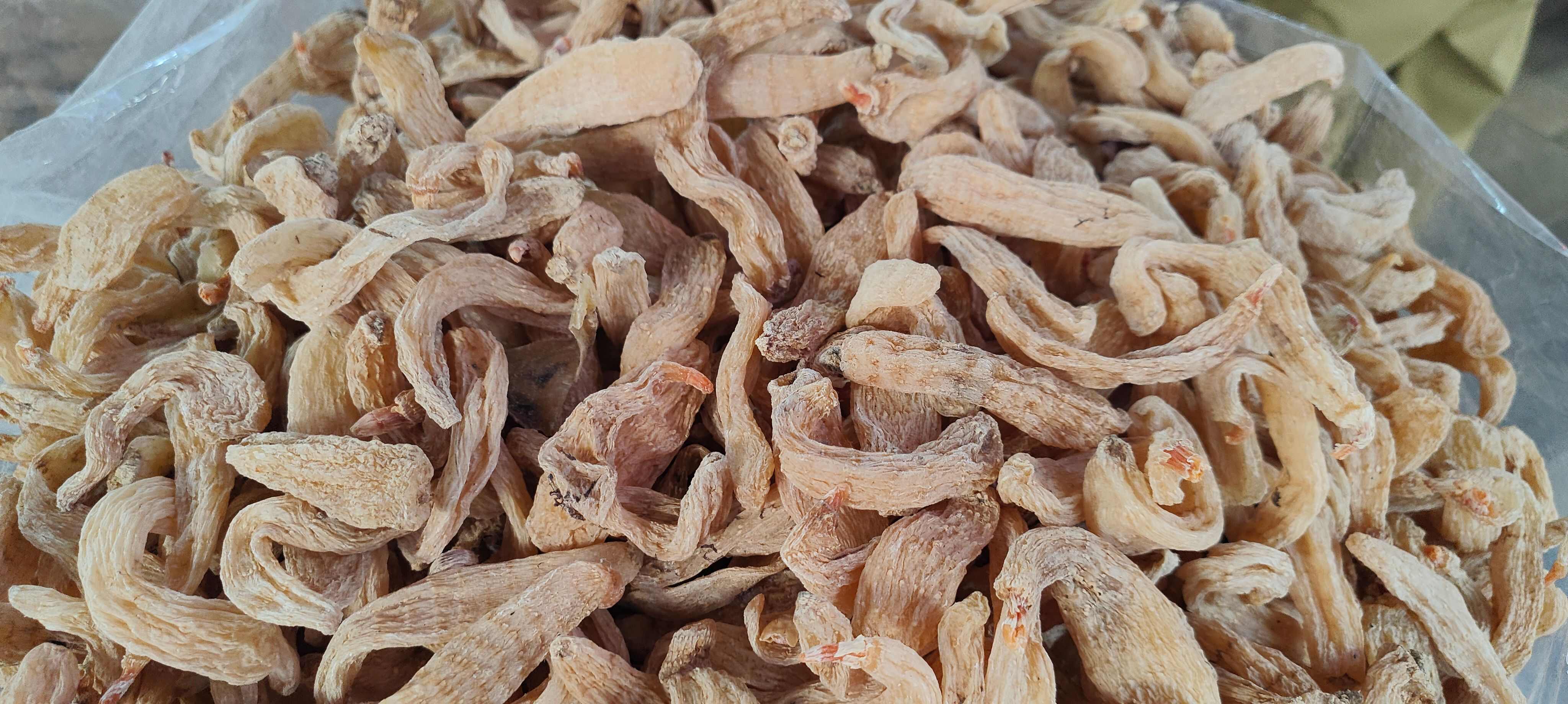 广西玉林产天麻 滋补药材 中药材原料