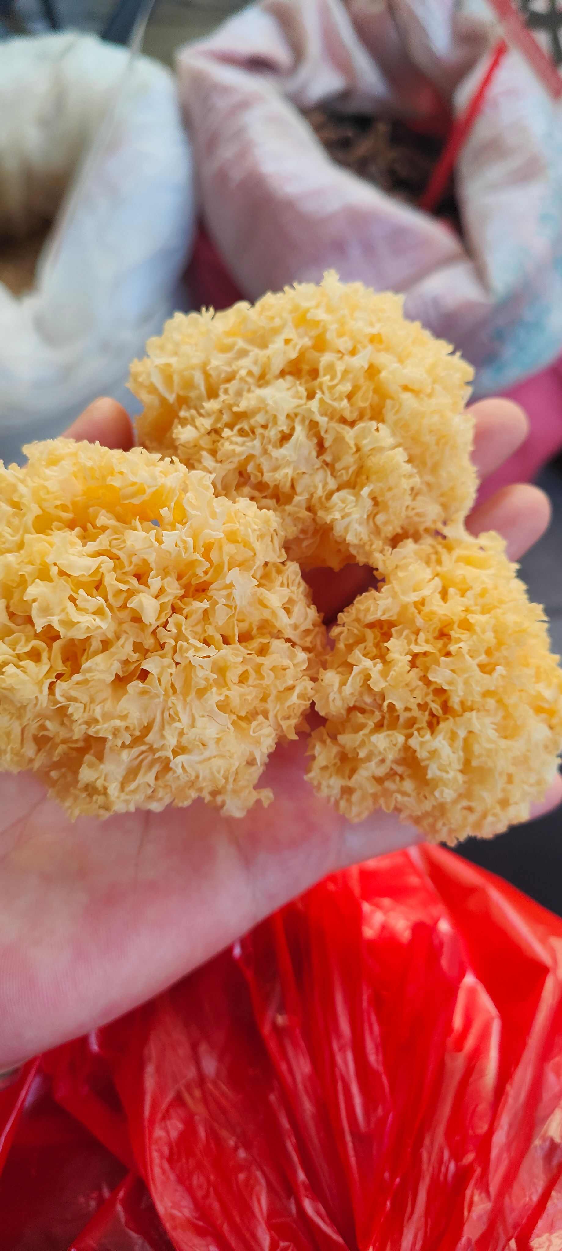 银耳 新鲜食用菌 产地直发 品质保证一斤起批玉林发货