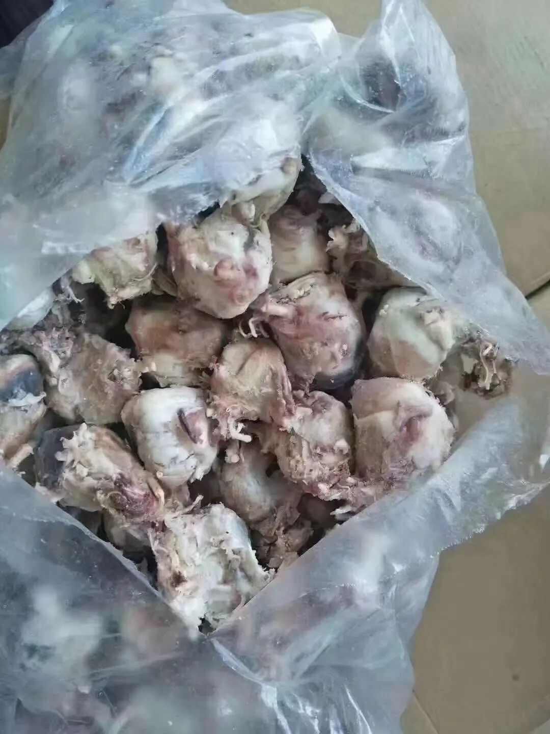 羊副产品 新奇食材 现杀鲜冻羊眼睛 夜明珠