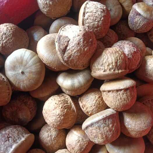 阳朔县2025年新货风流果