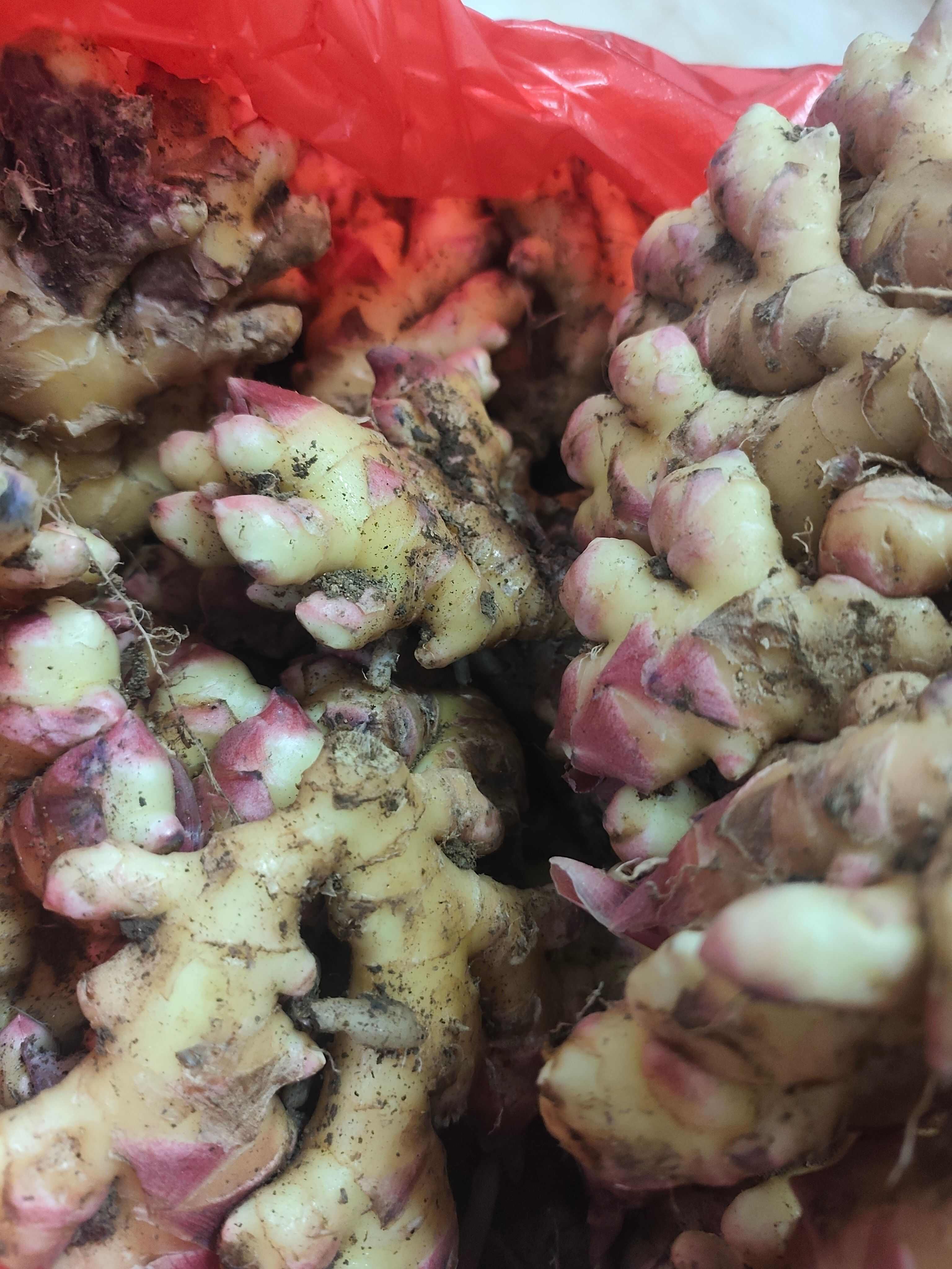 连山小黄姜，够姜 够辣 够味道。