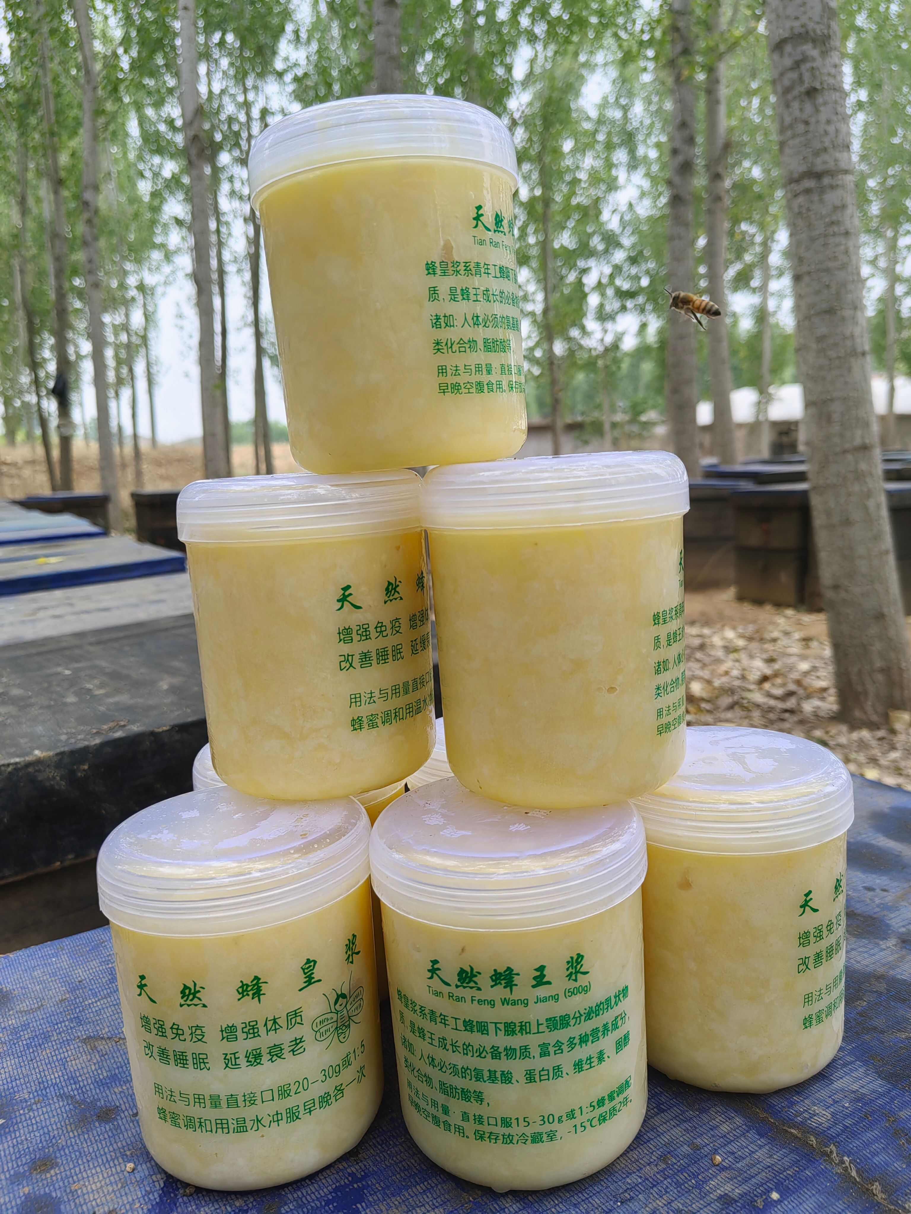 蜂王浆，蜜源期提取的，保证当天现取现冻，浆花浆朵十分明显。