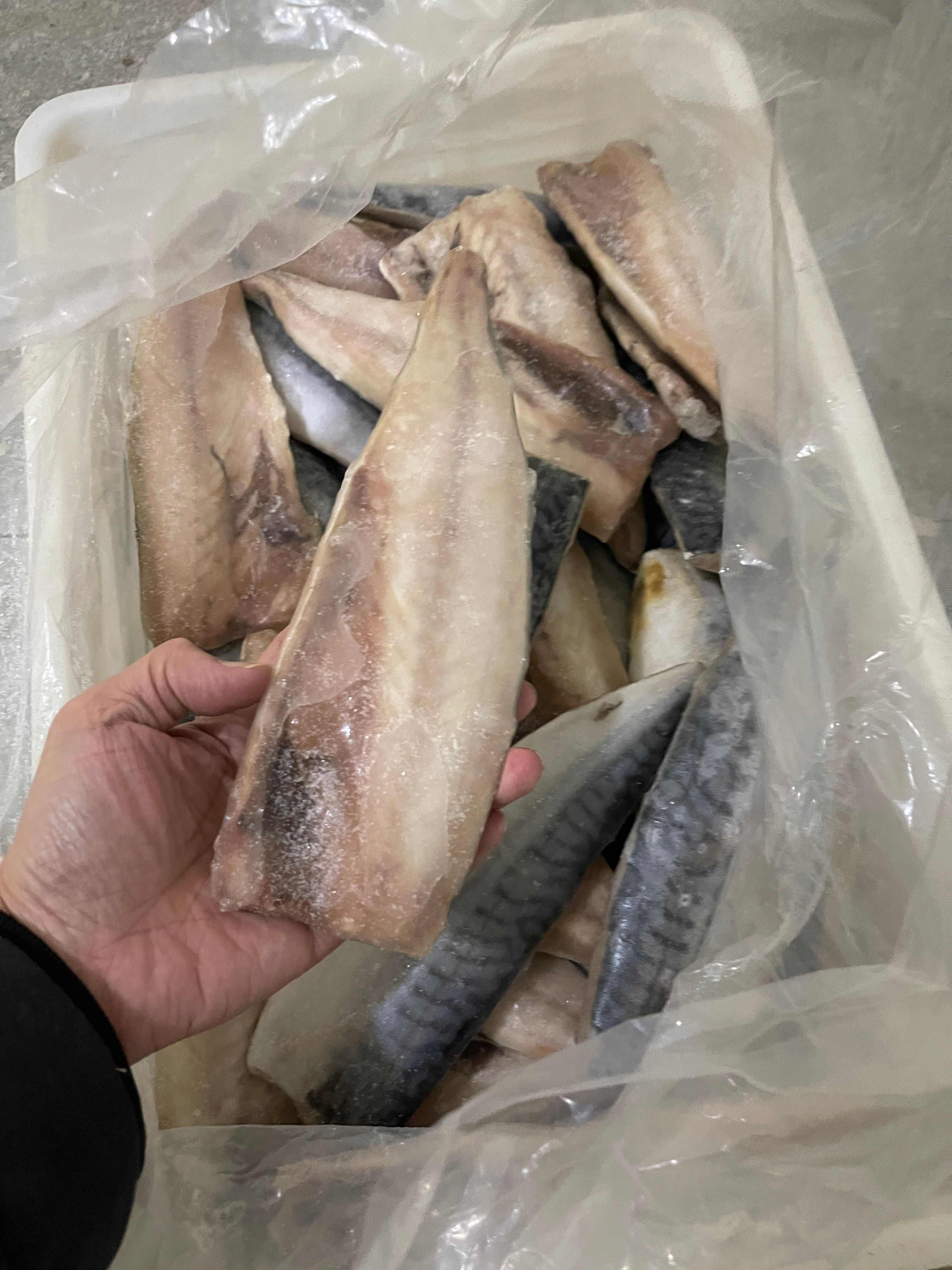 挪威青花鱼片170克以上58000一吨