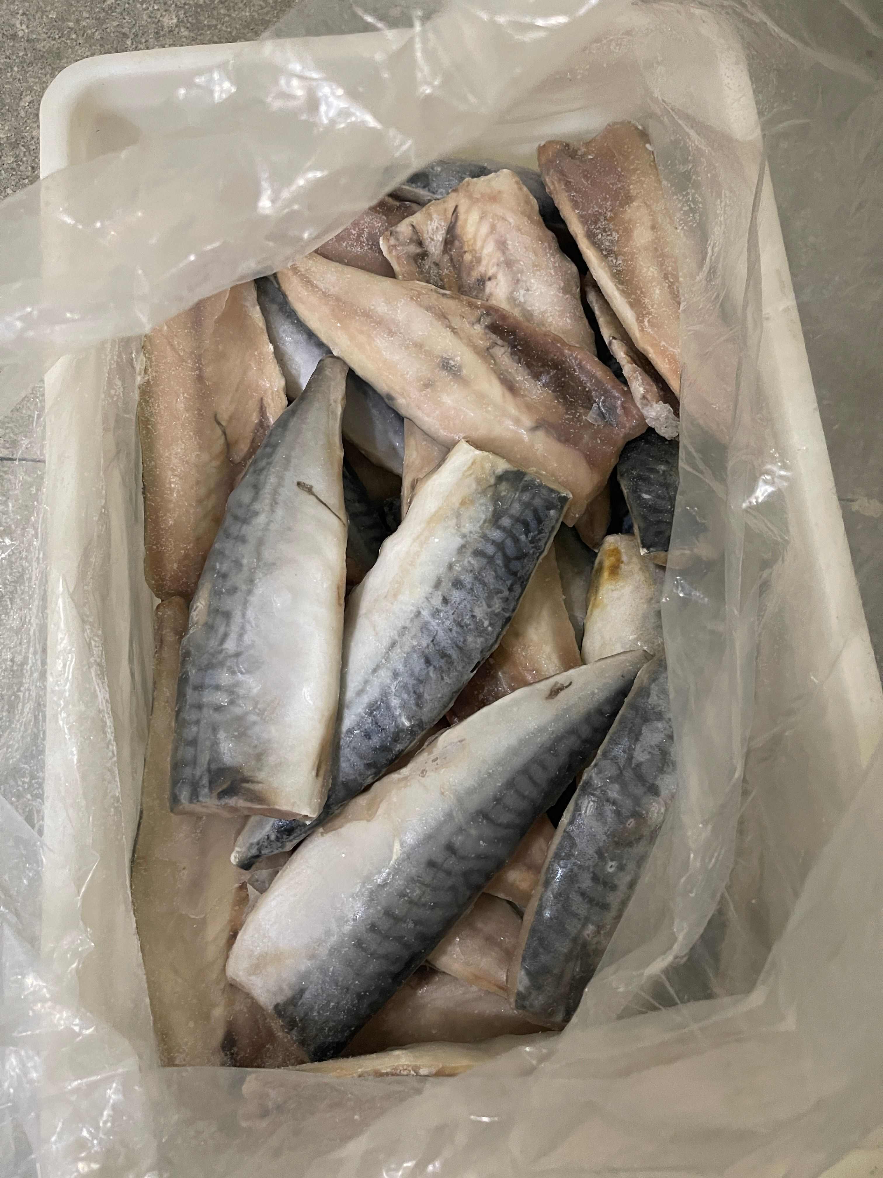 挪威青花鱼片170克以上58000一吨