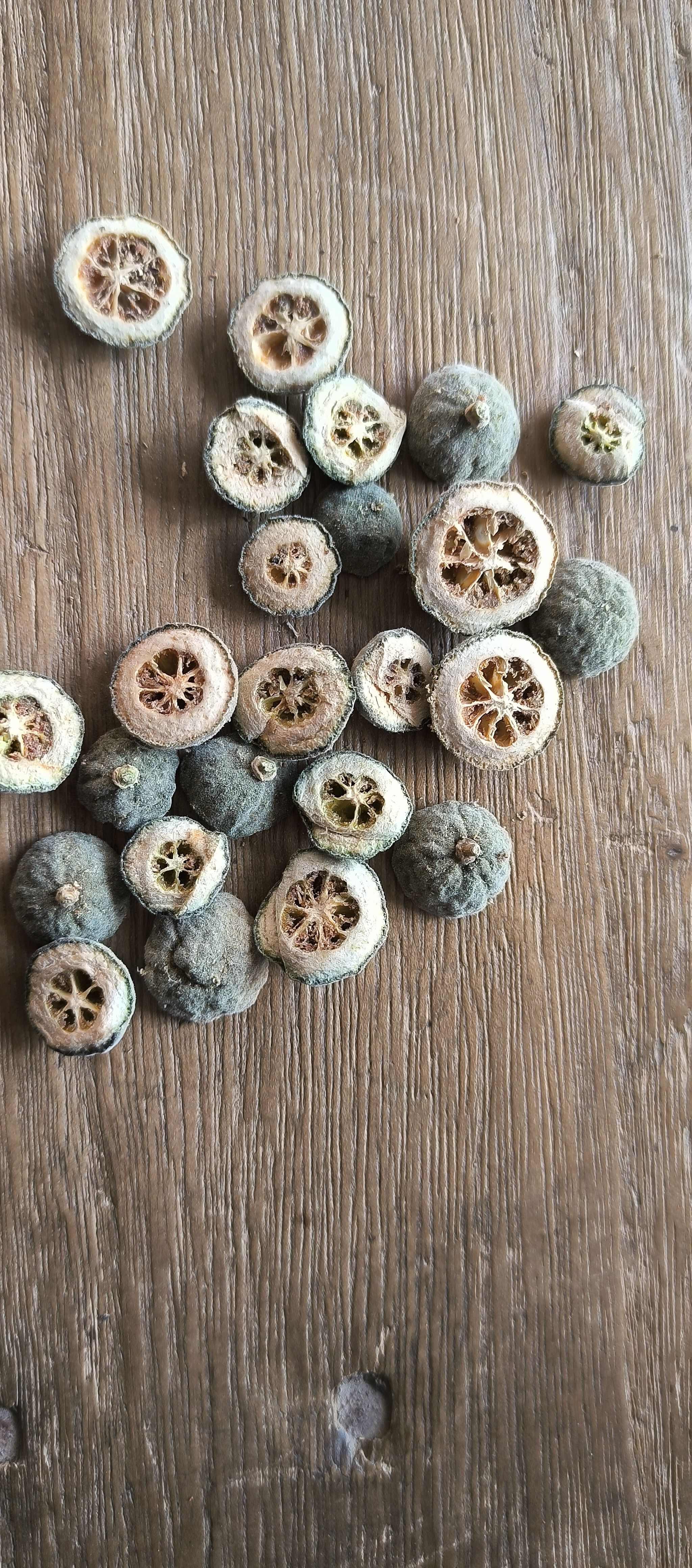 枳实片 铁篱寨片直径2.0内无硫原产地发货