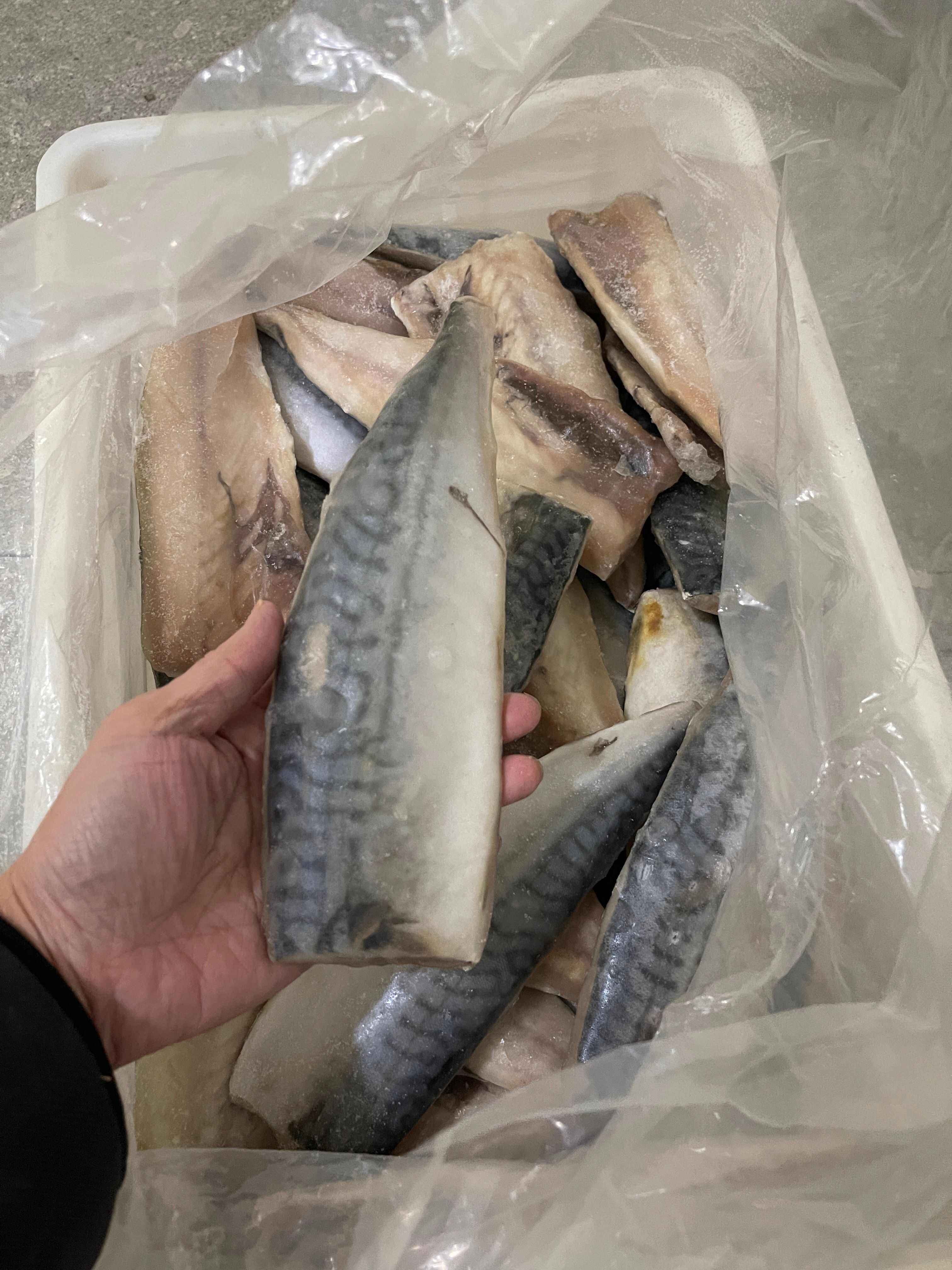 挪威青花鱼片170克以上58000一吨