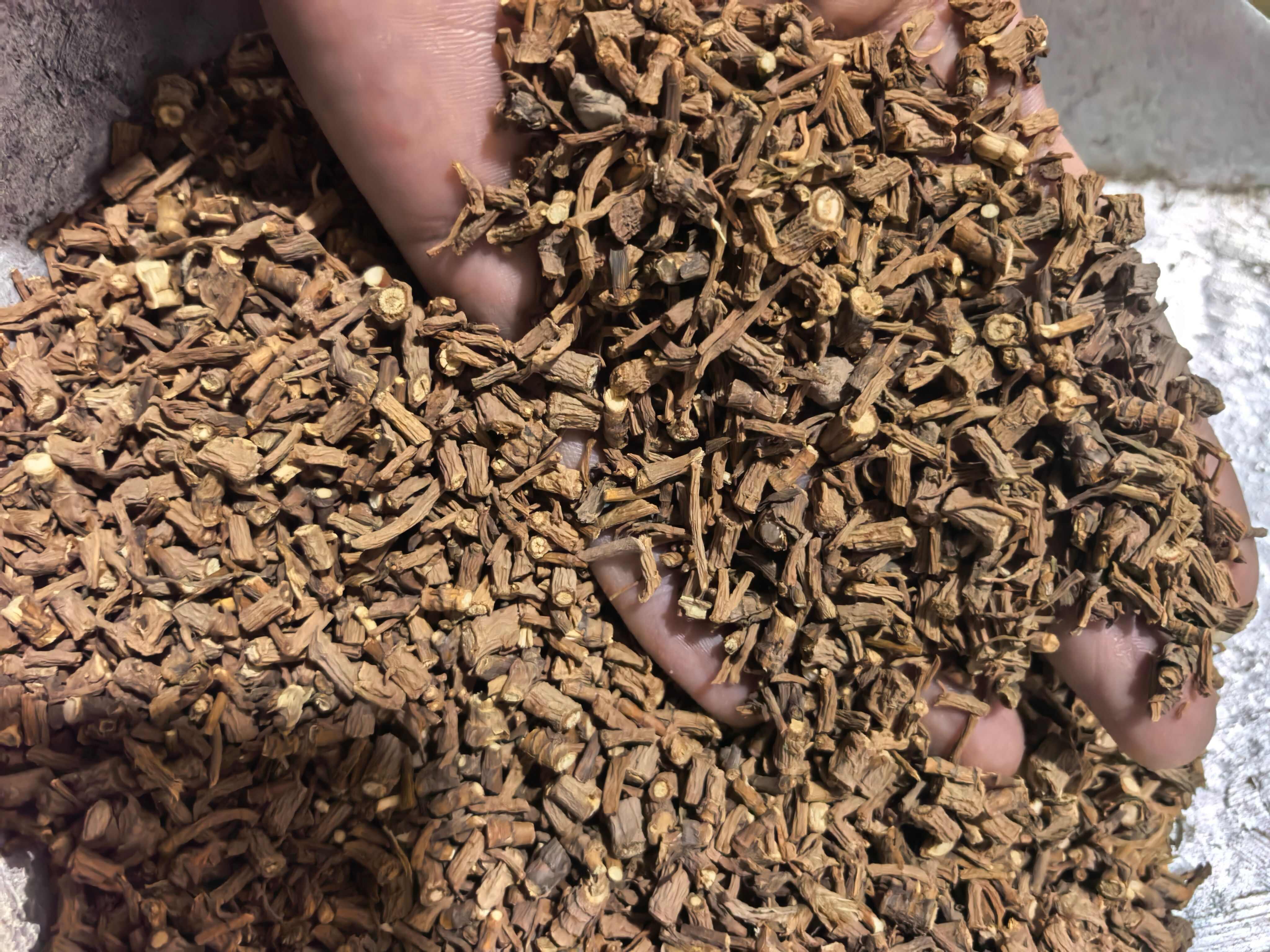 藏柴胡 统货0.2筛以上 粗细都有 价格优惠 产地甘肃