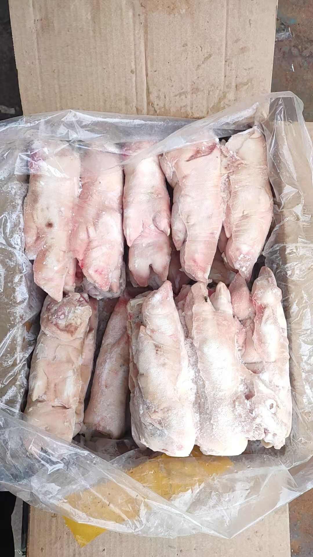 纯干二级蹄子20个左右熟食店和加工厂爆品