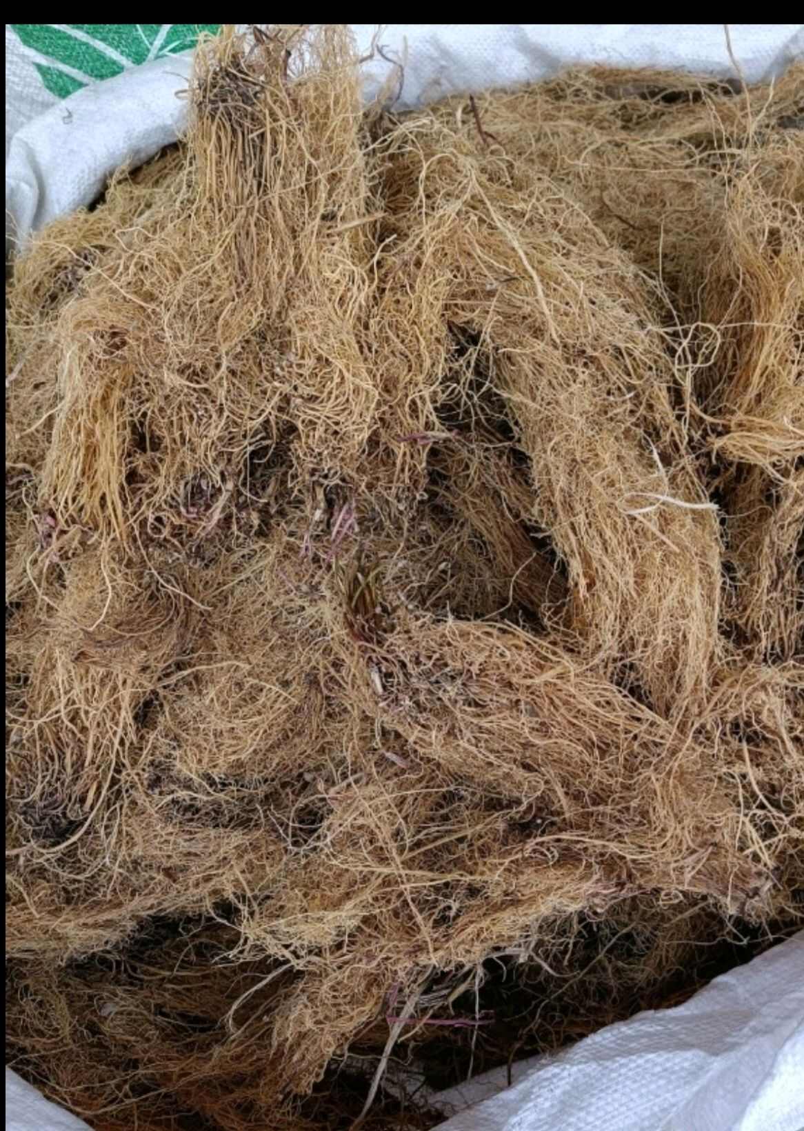 中药材统货细辛根细辛量大从优干品货