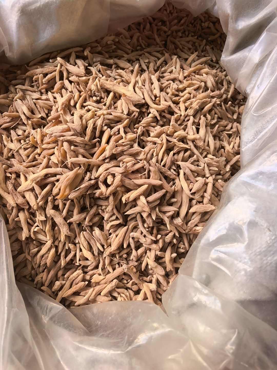 山麦冬 产地菏泽曹县 统货 产地直销