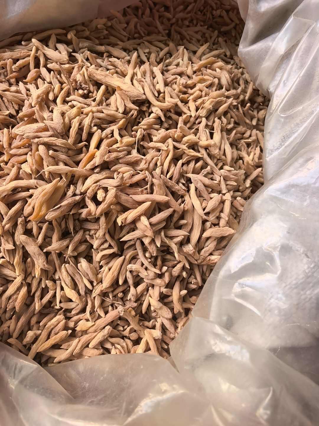 山麦冬 产地菏泽曹县 统货 产地直销