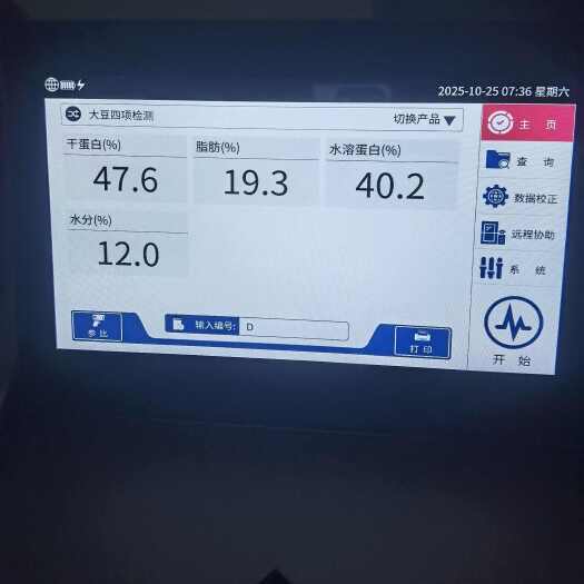 天门市黄大豆  湖北天门早豆