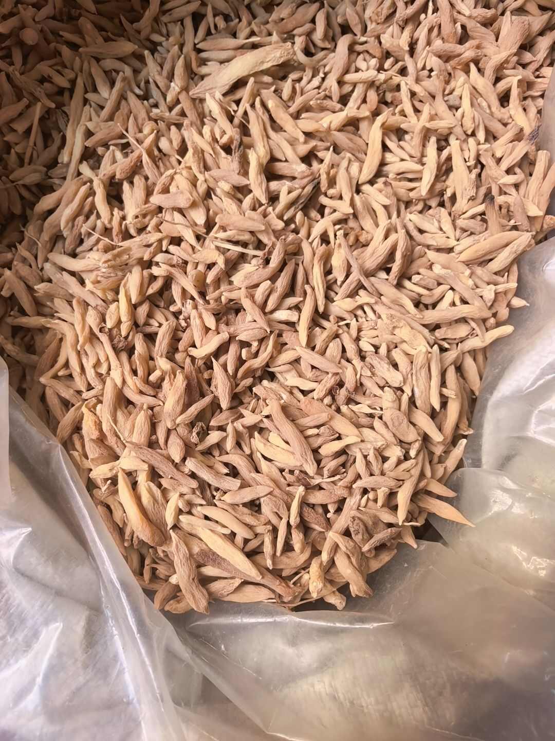 山麦冬 产地菏泽曹县 统货 产地直销