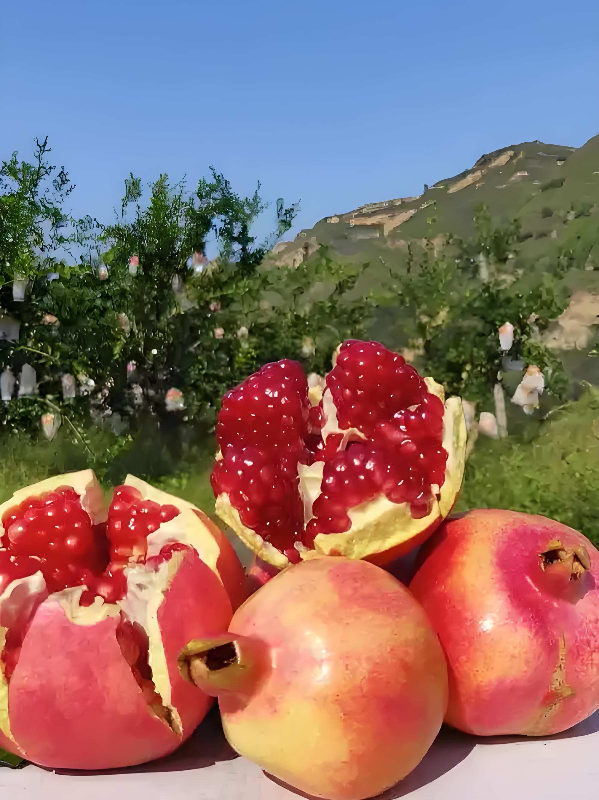 陕西特产临潼石榴甜石榴新鲜水果水晶石榴果农直发